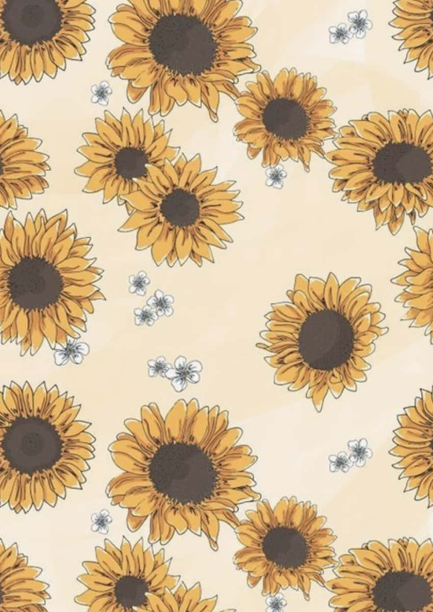 flower drawing, sunflowers, yellow, SD Phone Wallpaper