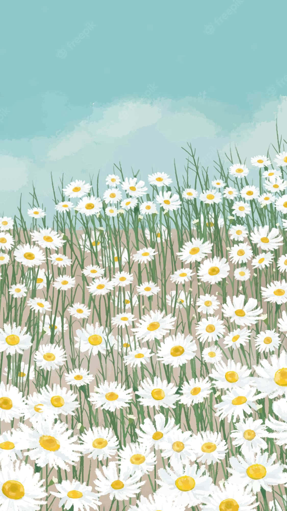 white daisies, yellow centers, soft blue sky, Full HD Phone Wallpaper