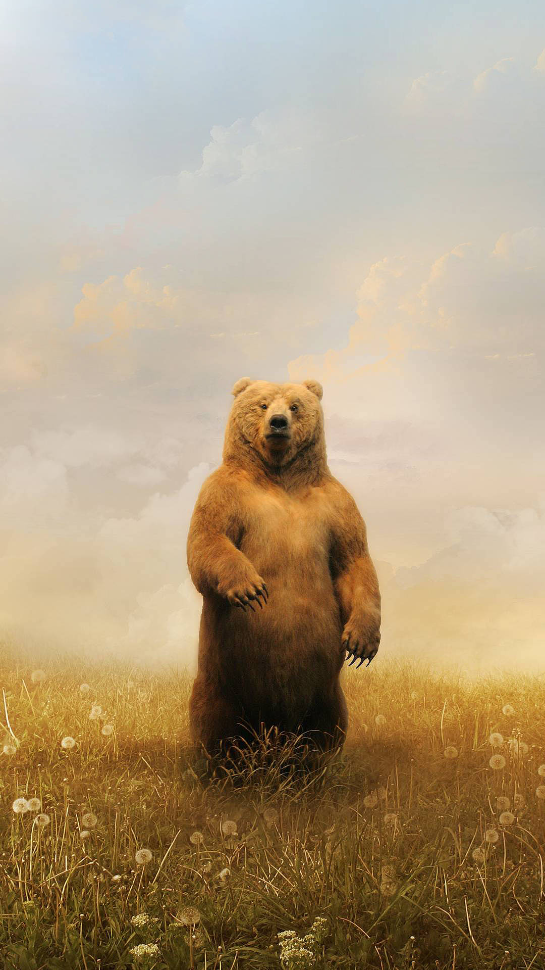 brown bear, golden field of dandelions, twilight sky, Full HD Phone Wallpaper