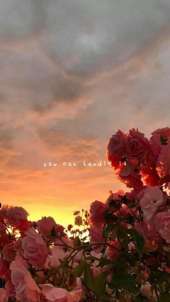 floral aesthetic, iPhone, pink roses, SD Phone Wallpaper