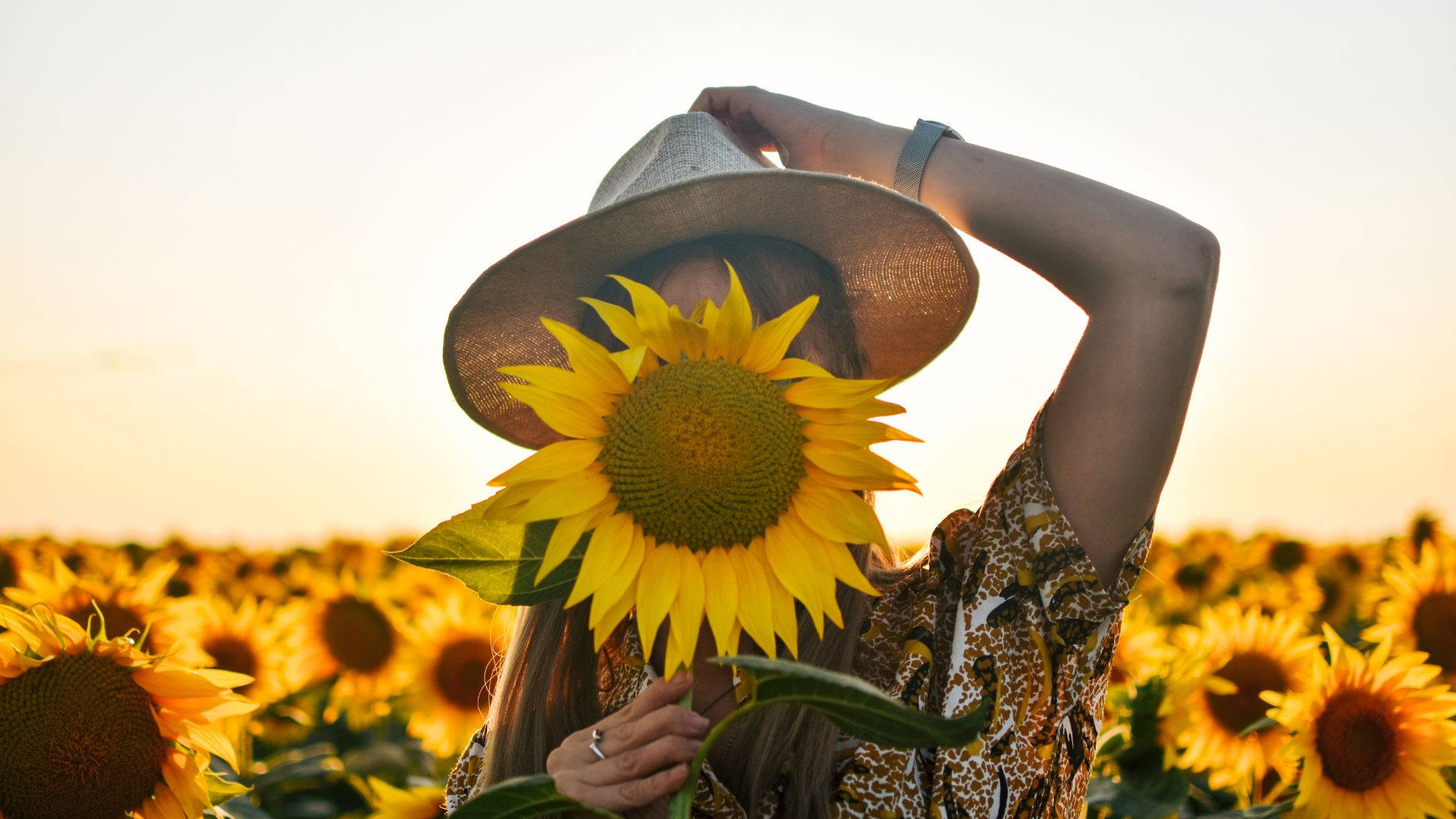 sunflower desktop, straw hat, giant sunflower, Full HD Desktop Wallpaper