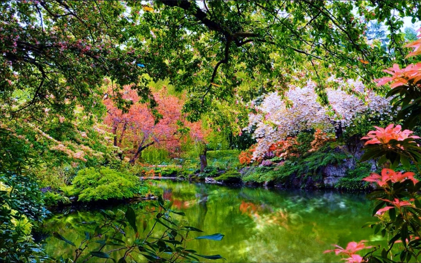 flower garden, lake, pond, HD Desktop Wallpaper