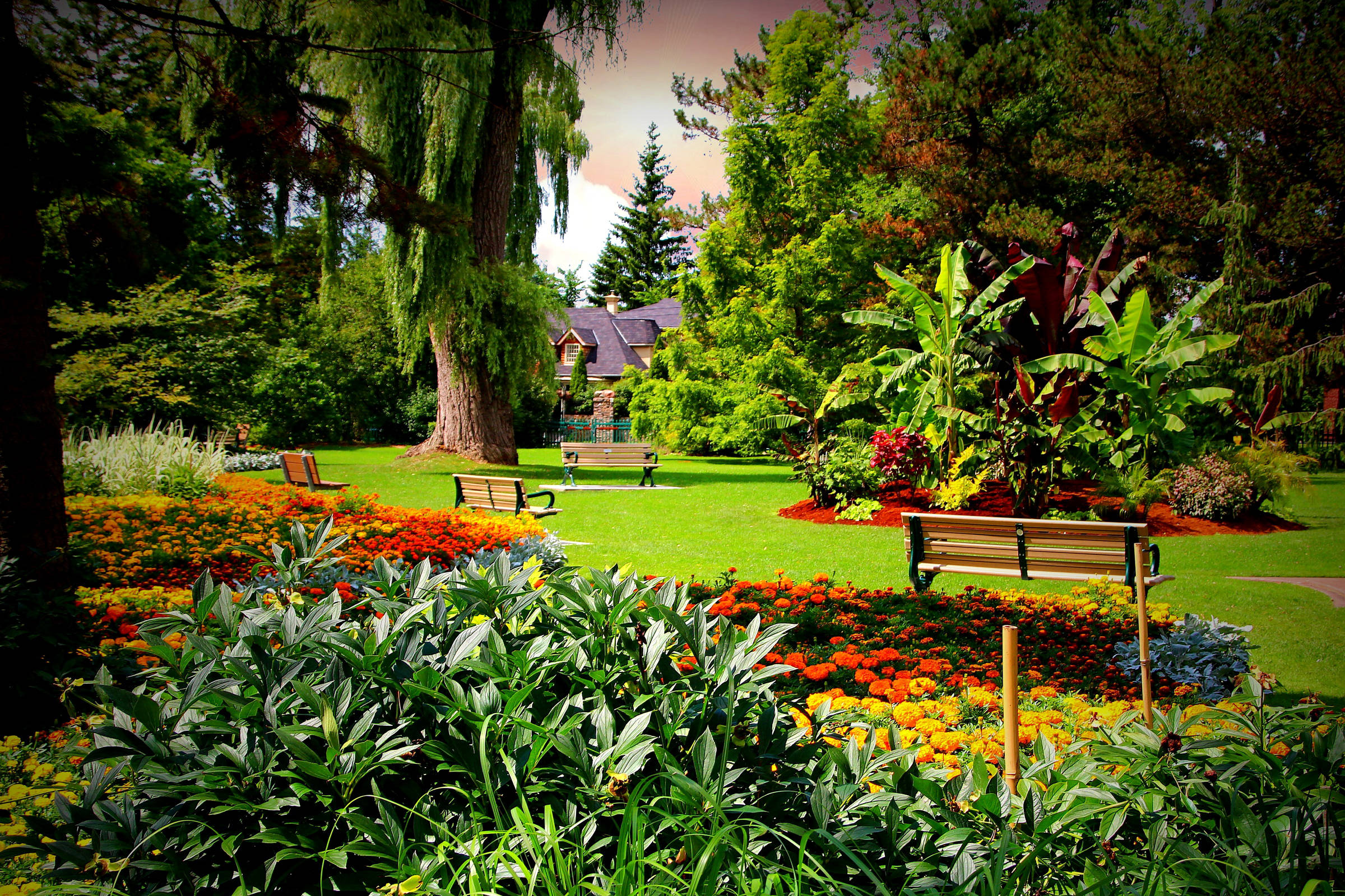 Sunny Flower Garden, vibrant flower beds, lush greenery, Full HD Desktop Wallpaper