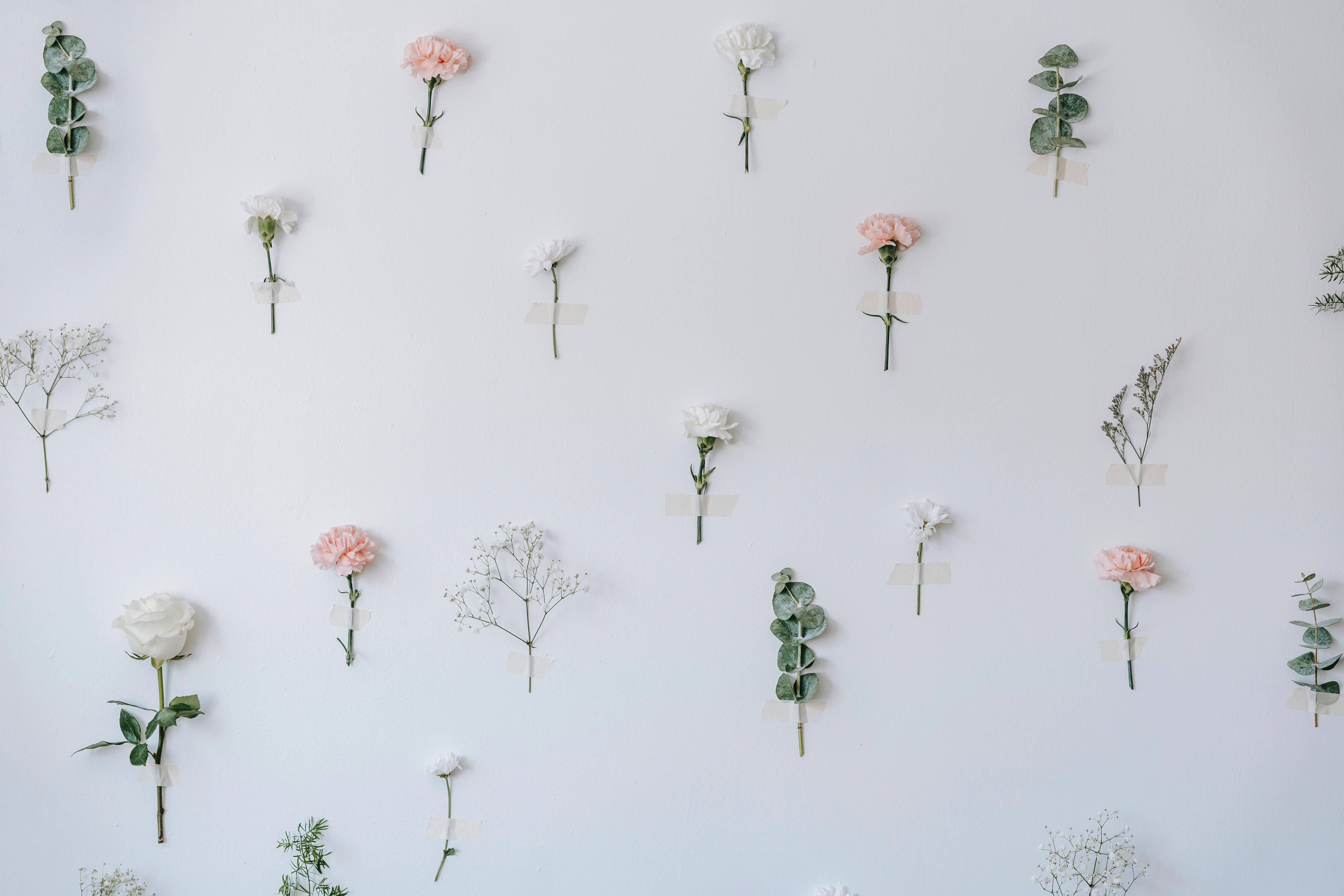 pastel 4k flowers, pink and white flowers, greenery, 5K Desktop Wallpaper