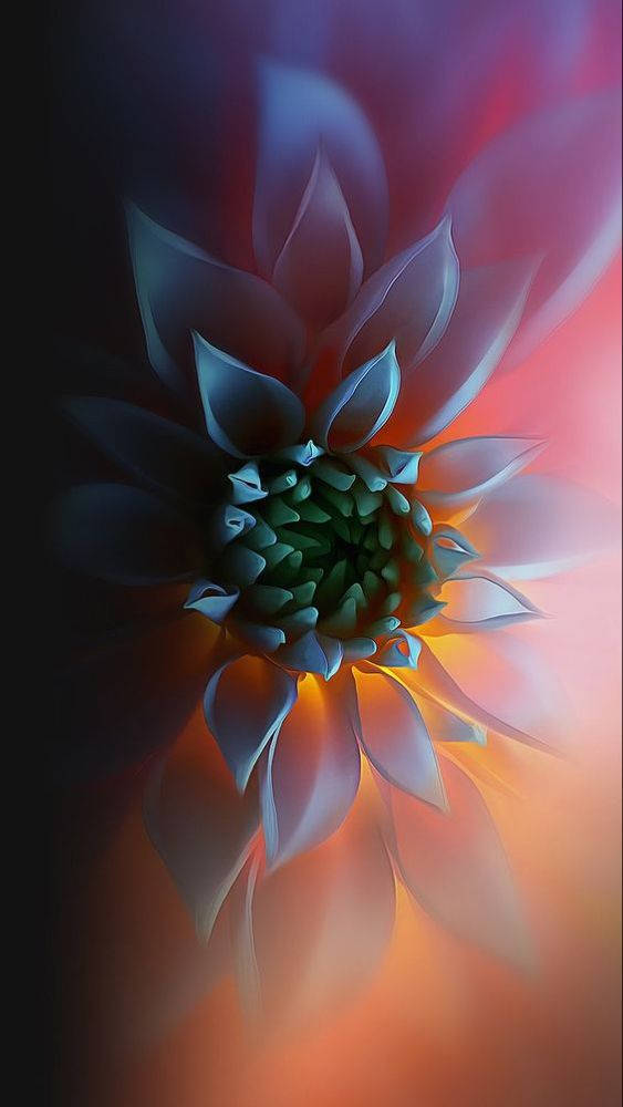 Zoom Pink Soft Flower, deep blue to fiery orange gradient, abstract flower, SD Phone Wallpaper