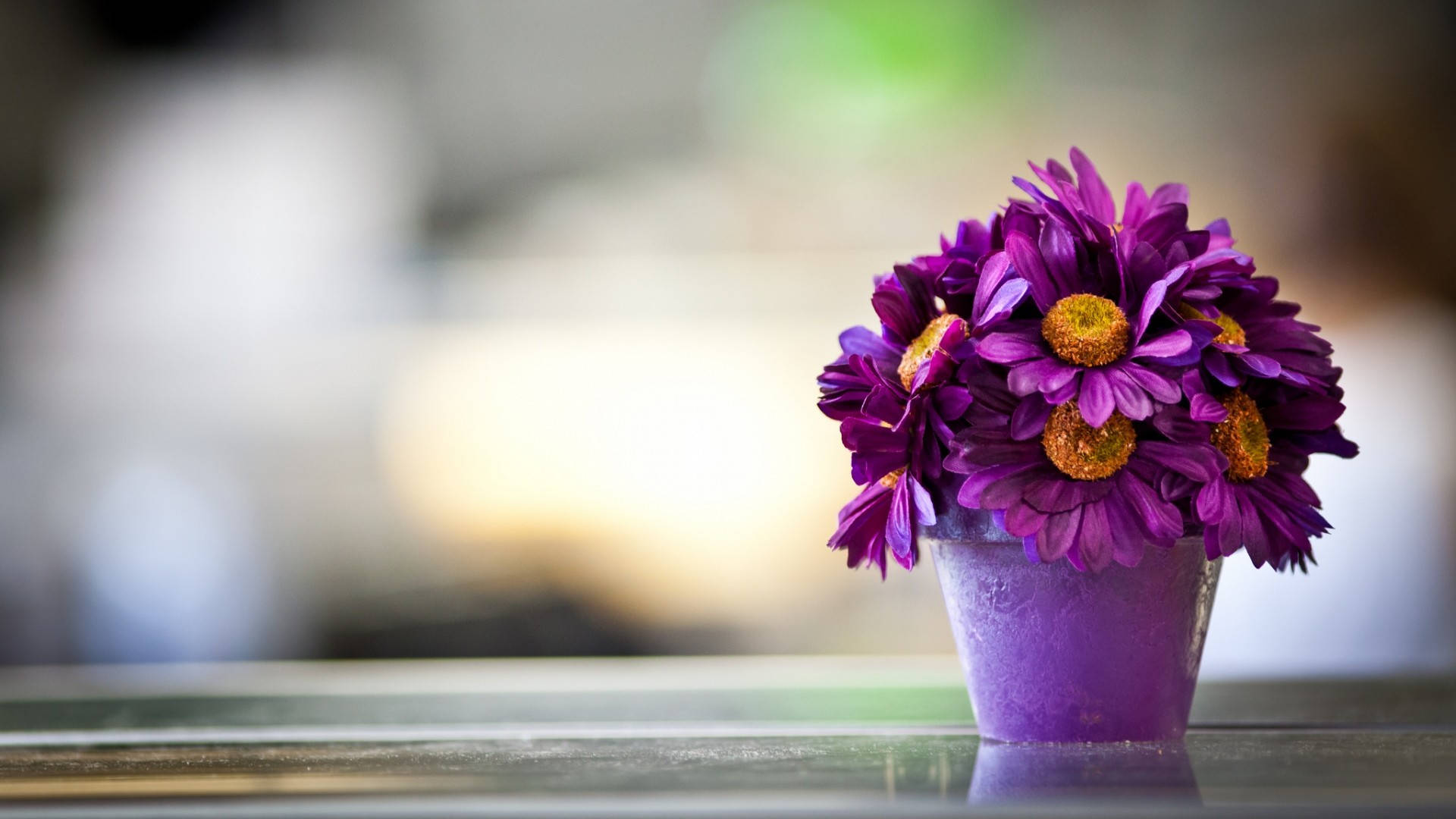 1920x1080, HD, purple daisy bouquet, Full HD Desktop Wallpaper