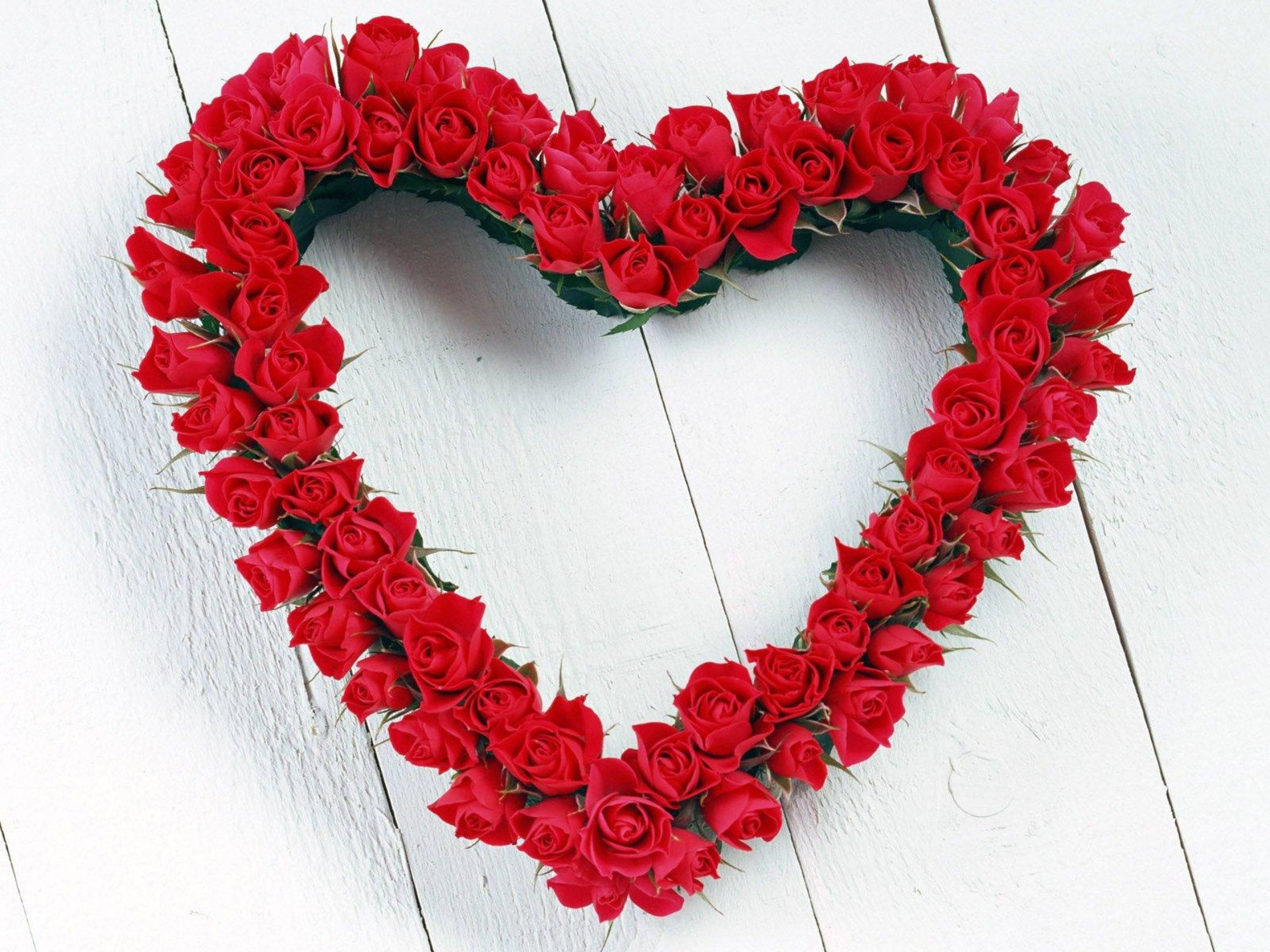 flower heart, red roses, heart-shaped wreath, 2K Desktop Wallpaper