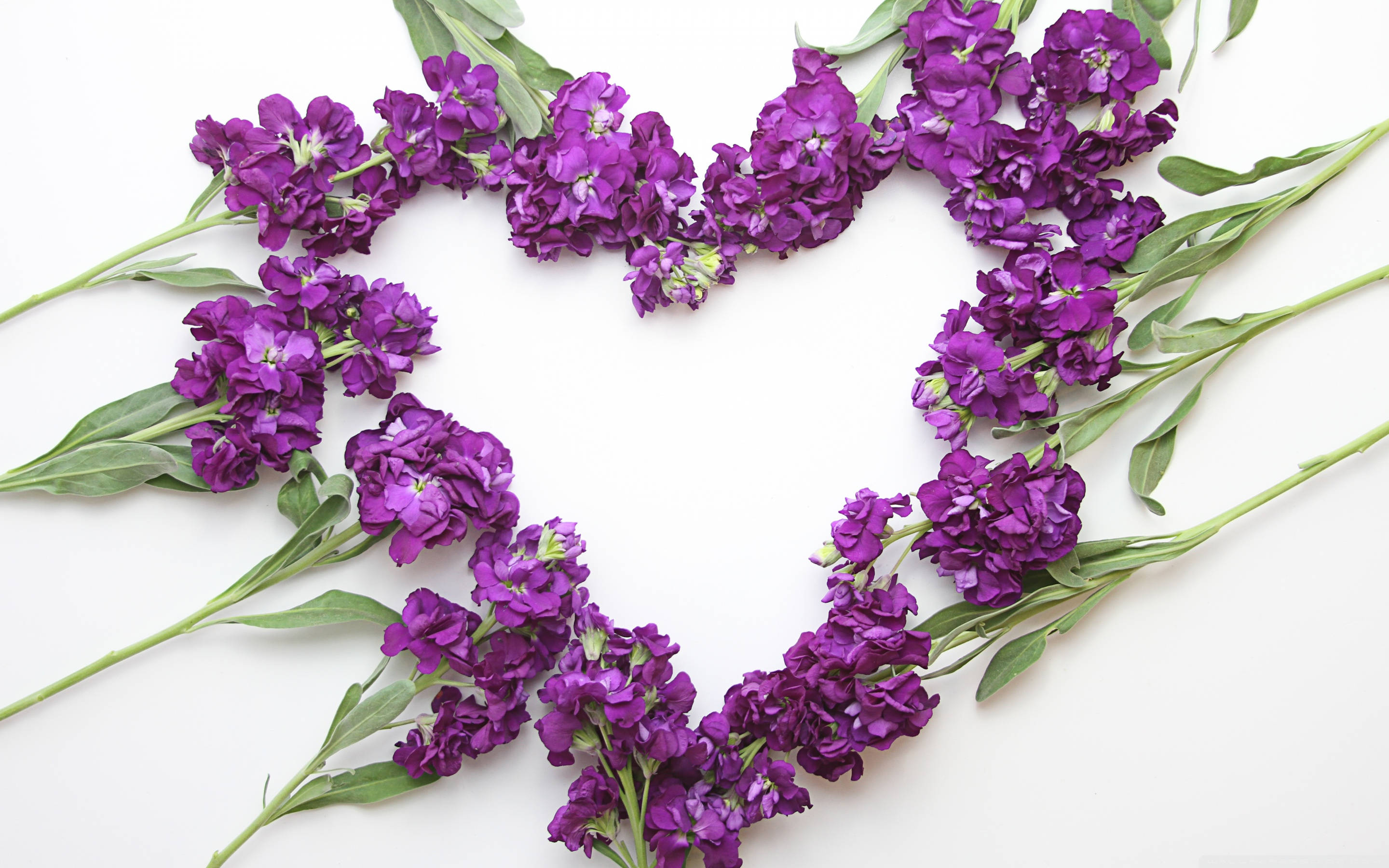 lavender aesthetic, flower heart, vibrant purple flowers, 2K Desktop Wallpaper