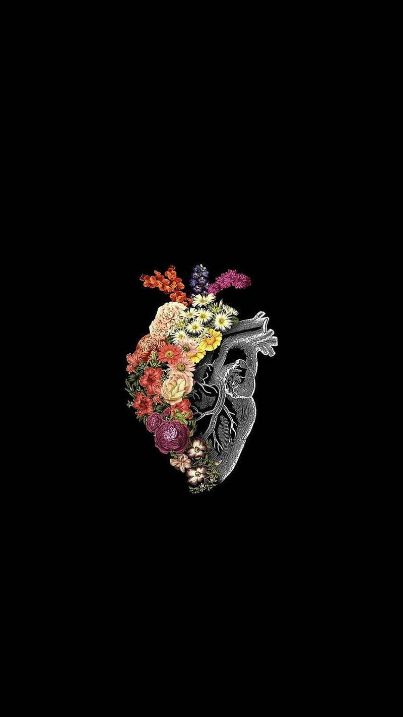 human heart, anatomical illustration, colorful flowers, HD Phone Wallpaper