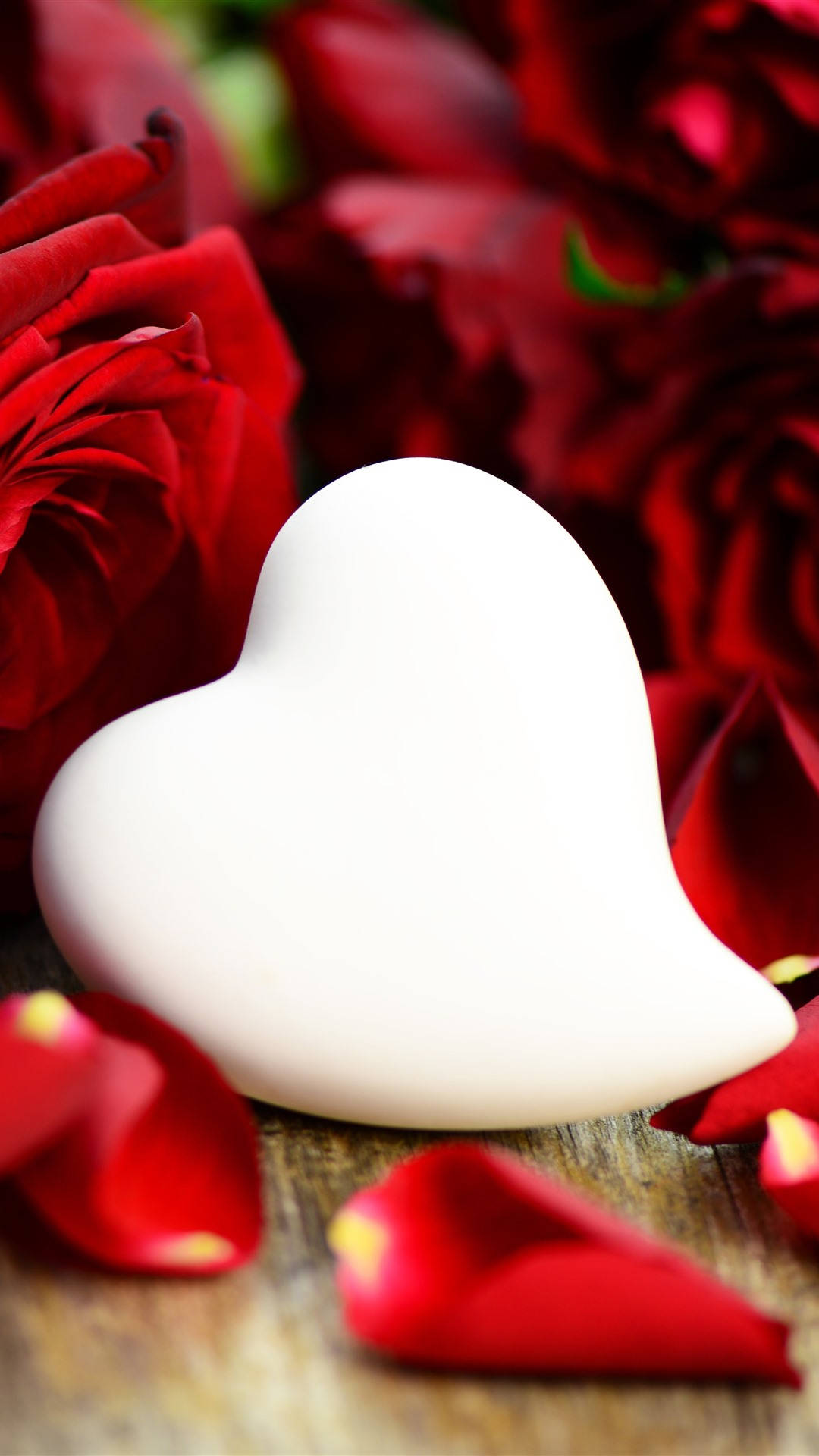 white heart, rose petals, vibrant red roses, Full HD Phone Wallpaper