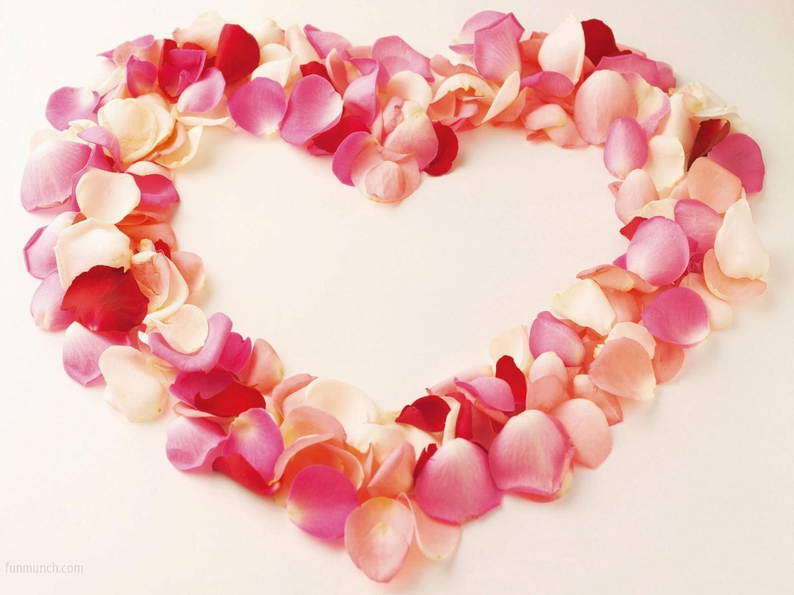 flower heart, pink rose petals, red rose petals, HD Desktop Wallpaper