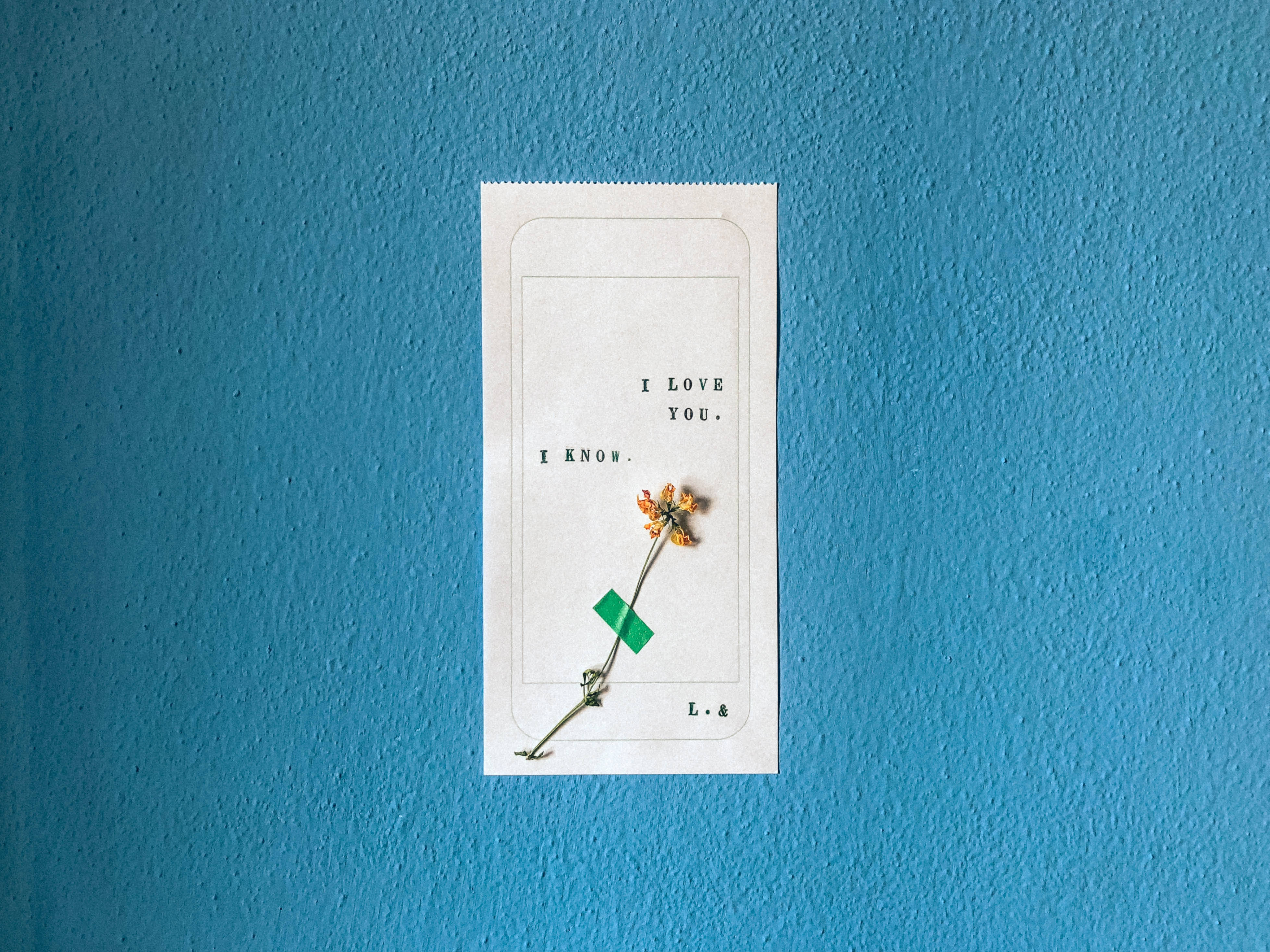 I LOVE YOU. I KNOW., dried orange flower, textured blue wall, 4K Desktop Wallpaper