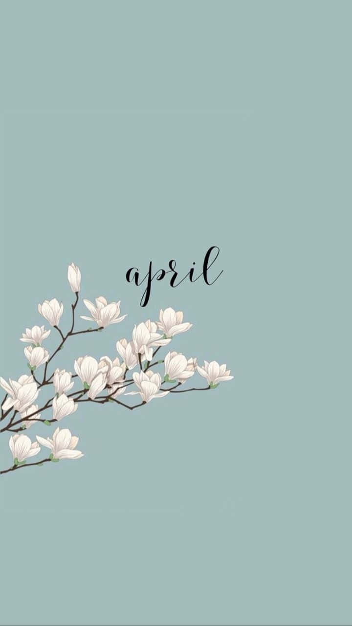 white magnolia, soft mint green background, elegant script, HD Phone Wallpaper