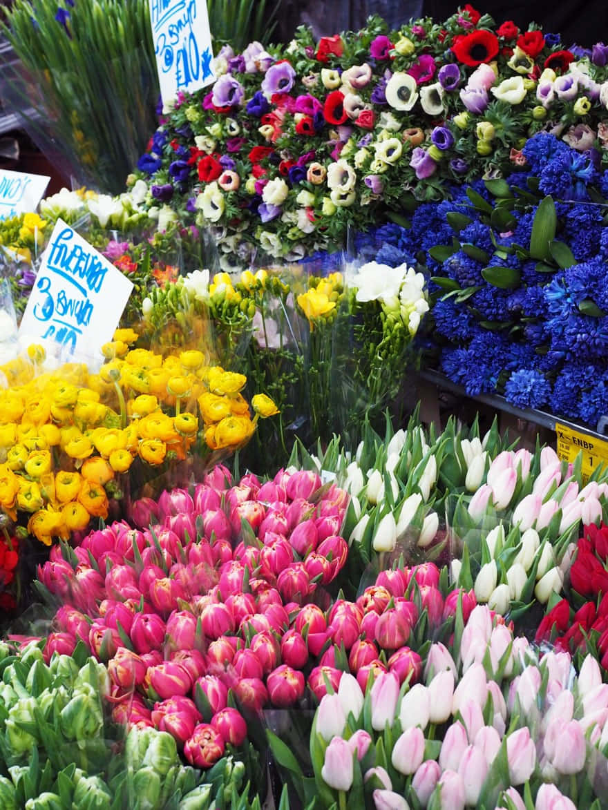 Flower Market, tulips, bouquets, SD Phone Wallpaper