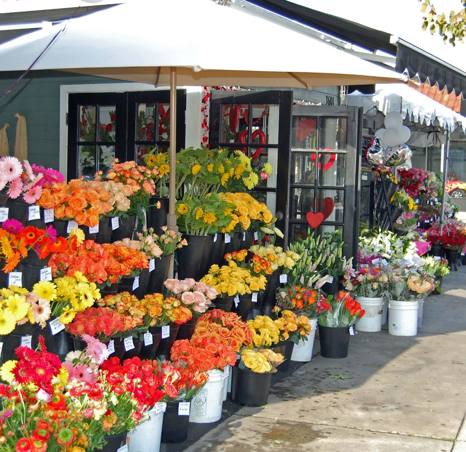 Flower Market, red orange yellow and pink flowers, bouquets, HD Desktop Wallpaper