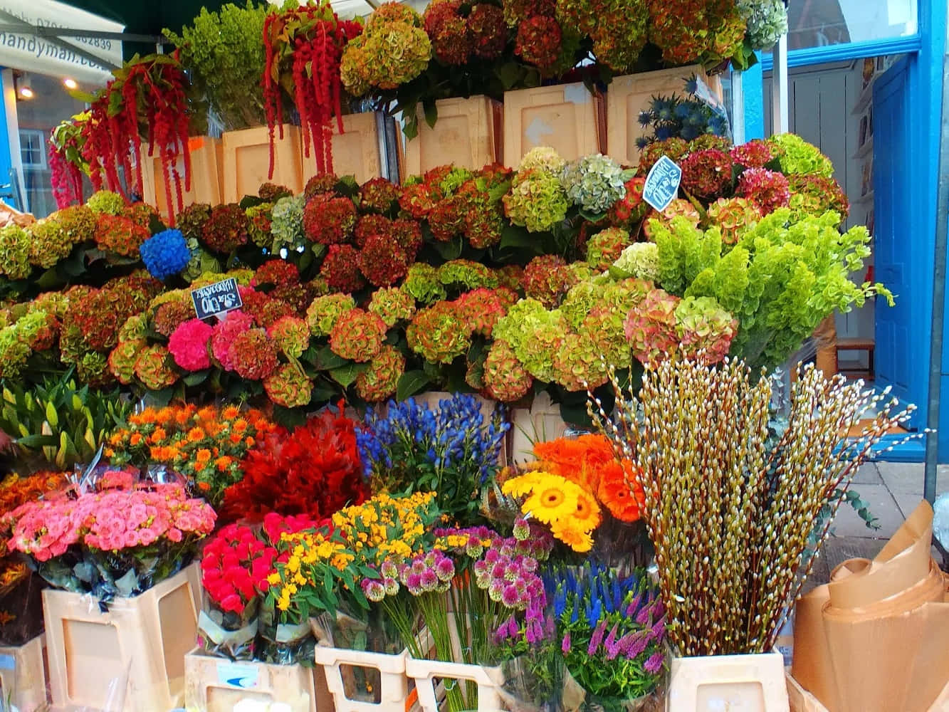 Flower Market, hydrangeas, gerberas, HD Desktop Wallpaper
