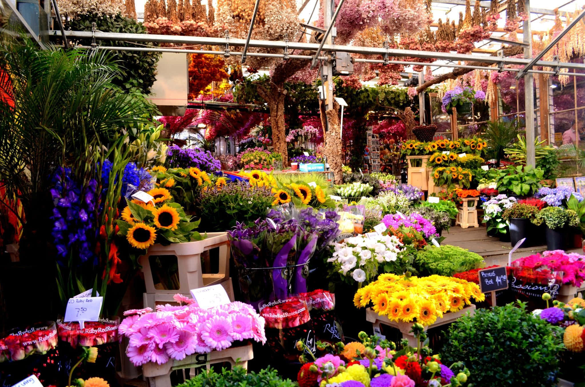 Flower Market, sunflowers, daisies, Full HD Desktop Wallpaper