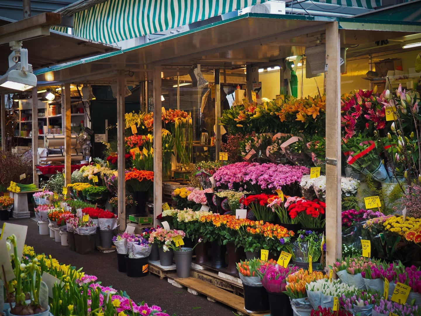 flower market, 1440 x 1080 wallpaper, green and white striped awning, HD Desktop Wallpaper