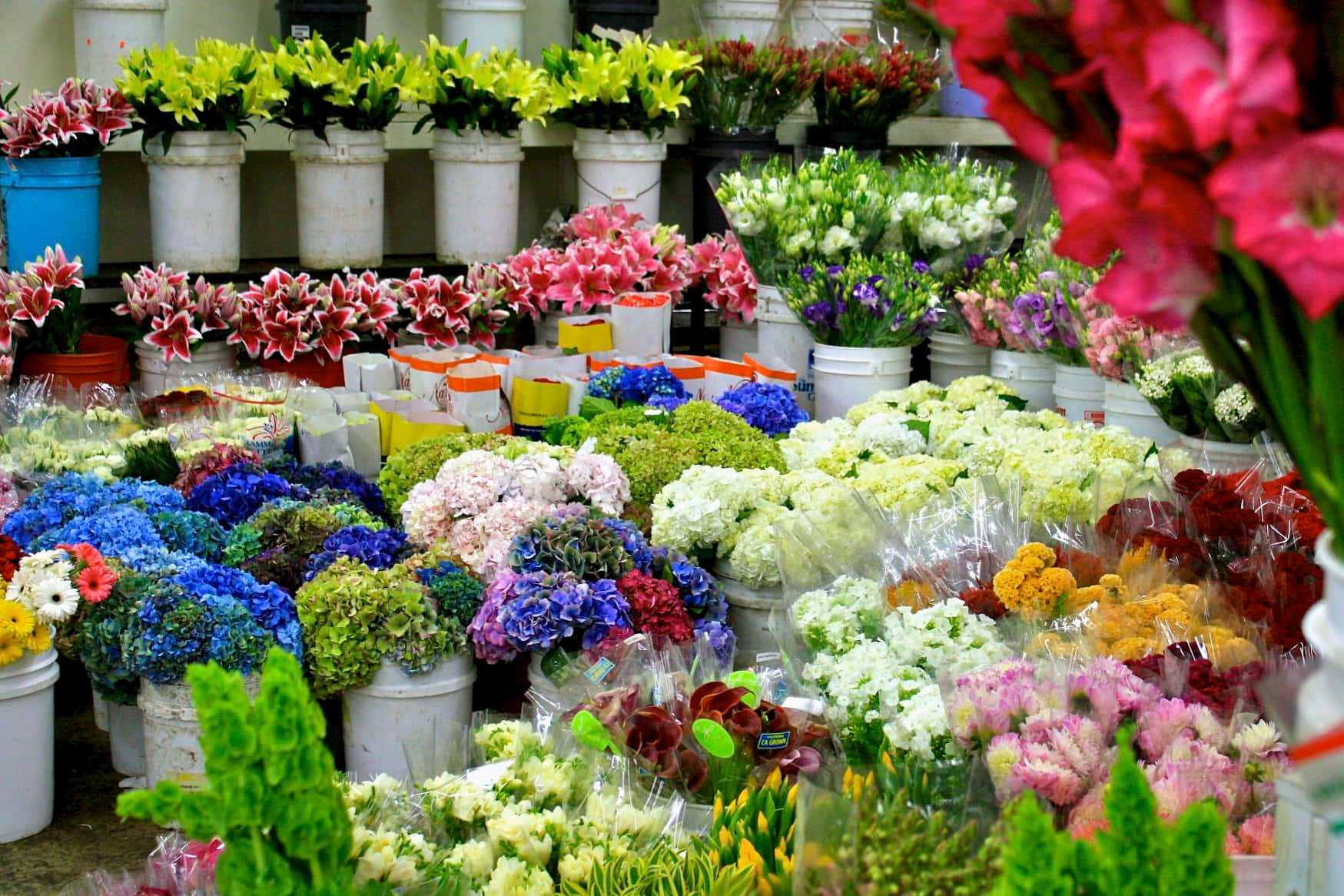 Flower Market, bustling market stall, bright daylight, HD Desktop Wallpaper