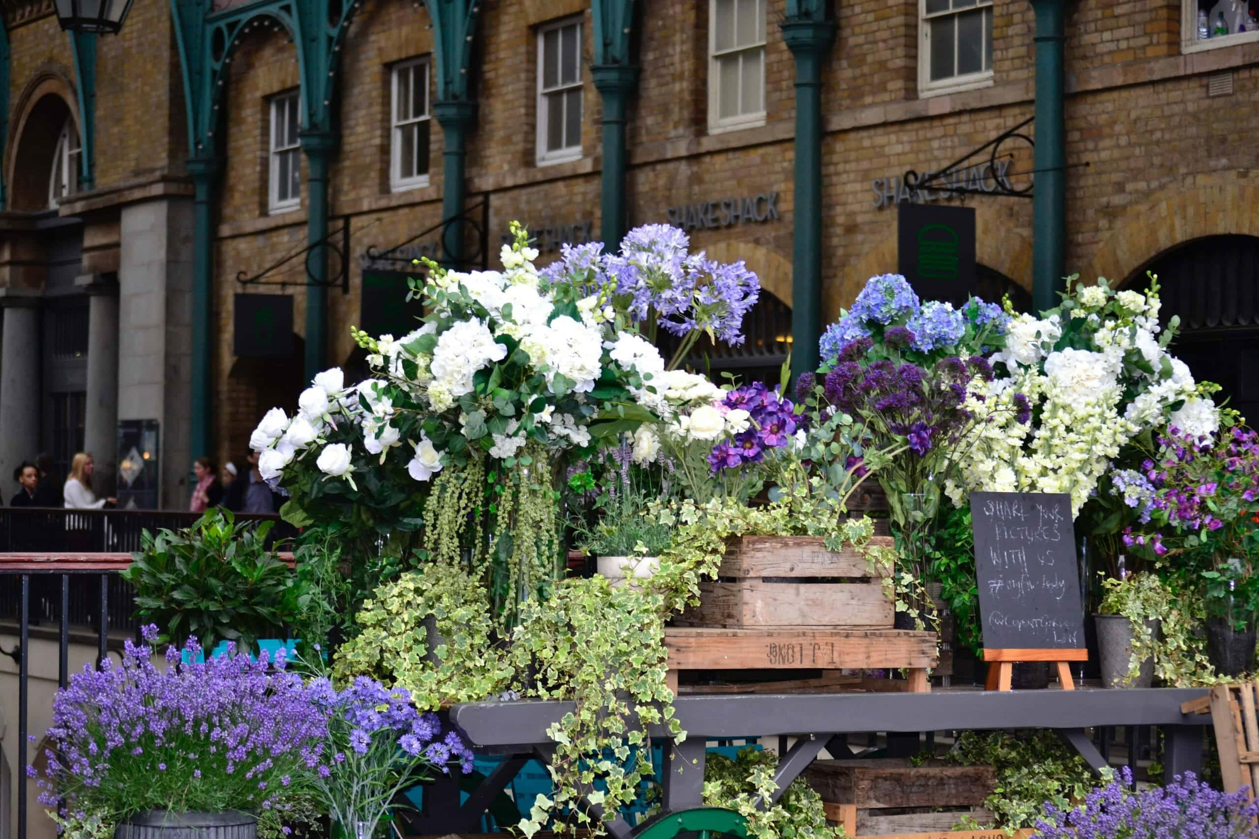 Flower Market, purple, white, 2K Desktop Wallpaper
