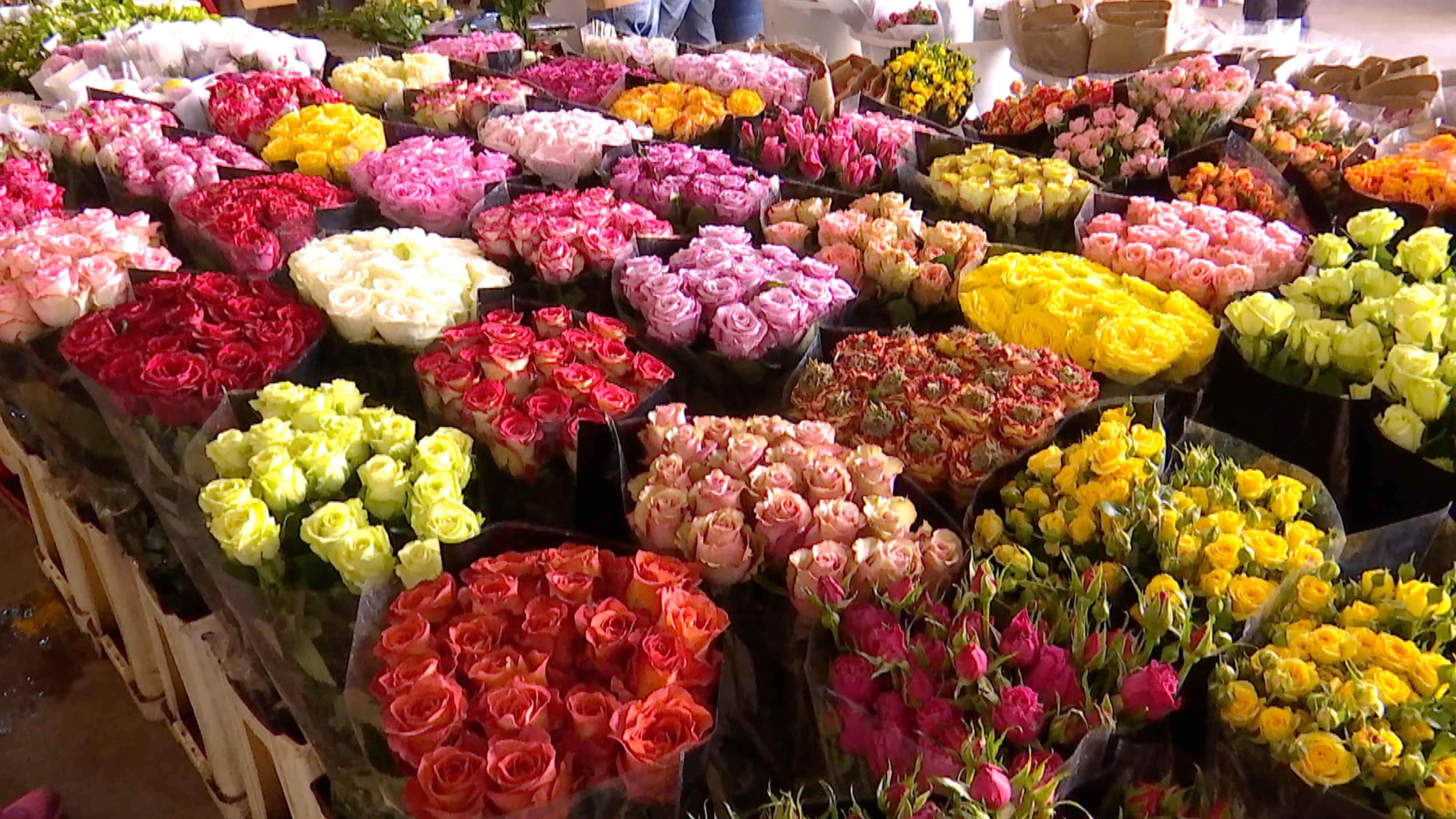 flower market, roses, red, 4K Desktop Wallpaper