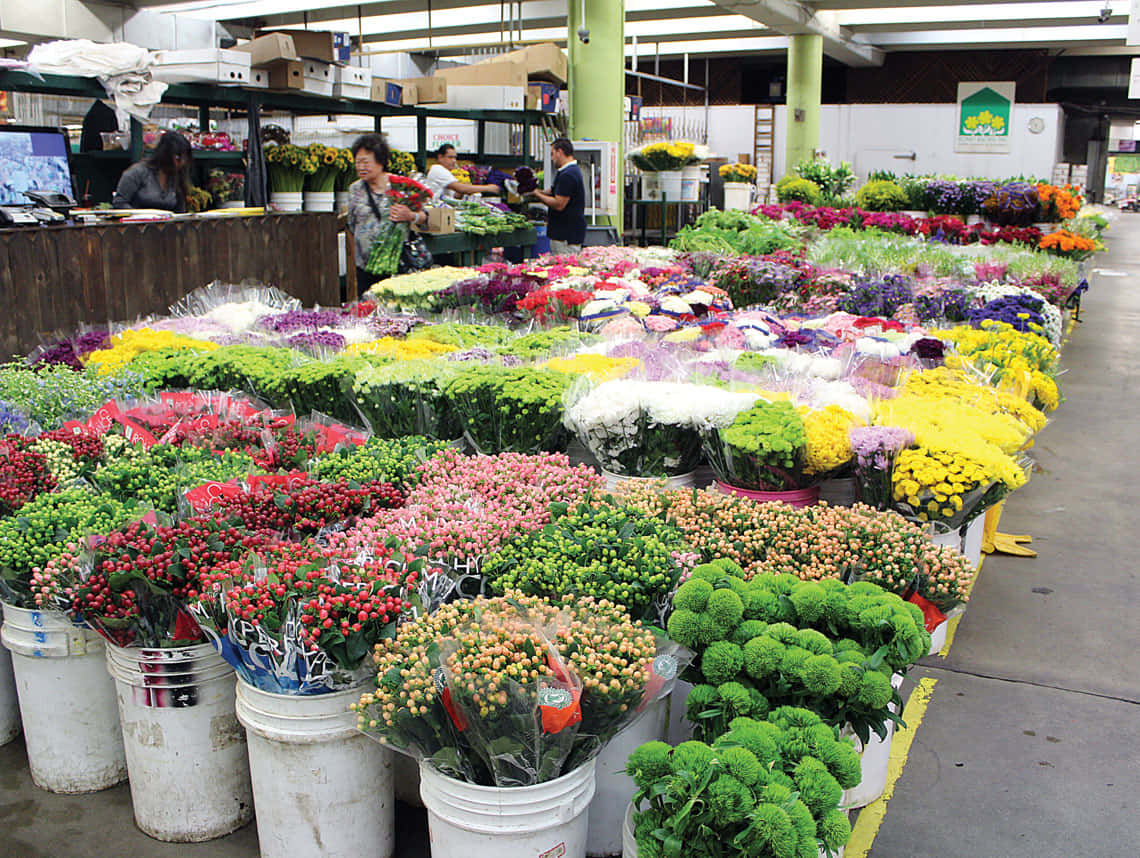 Flower Market, bustling indoor market aisle, vibrant rows of colorful flowers, SD Desktop Wallpaper