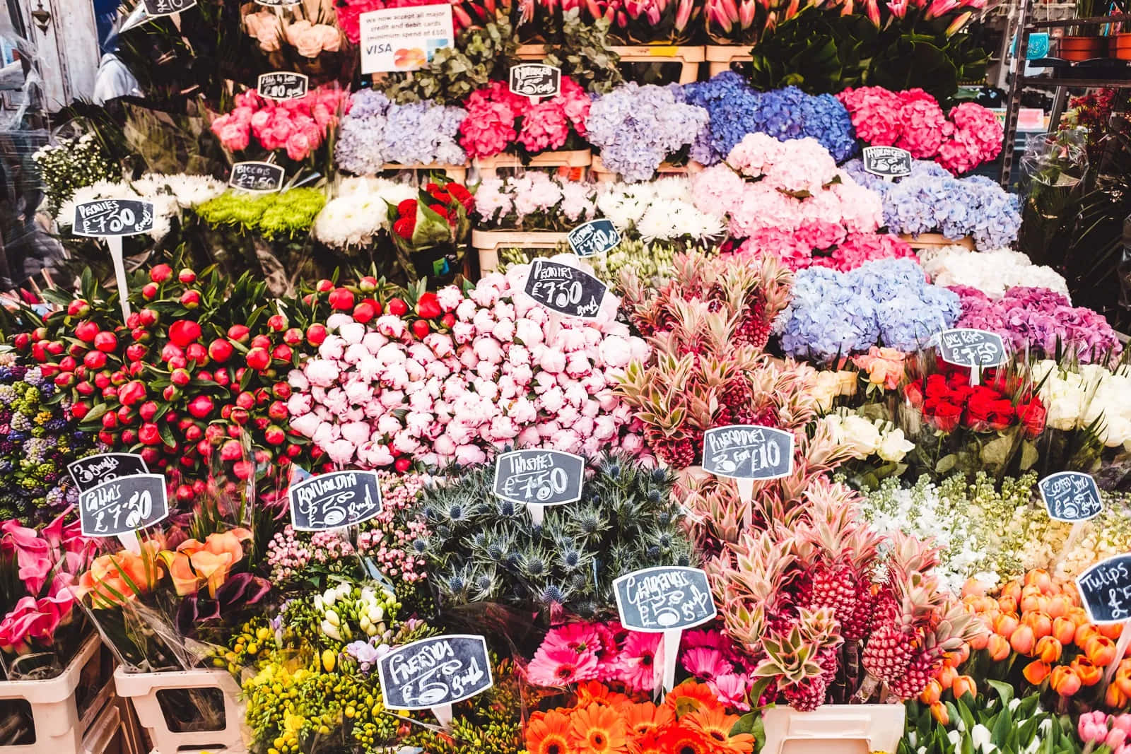 Flower Market, hydrangeas, tulips, HD Desktop Wallpaper