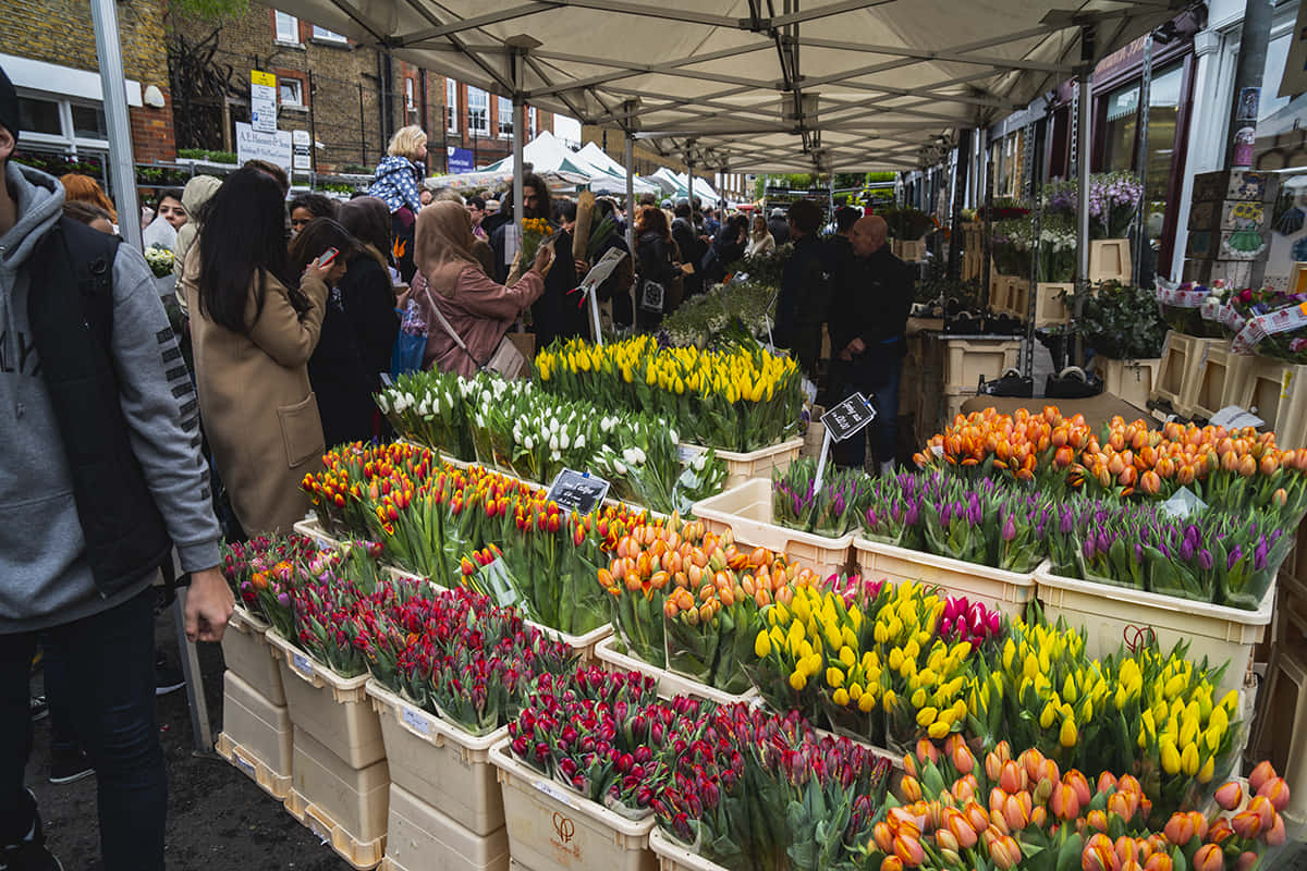 Flower Market, tulips, crates, SD Desktop Wallpaper