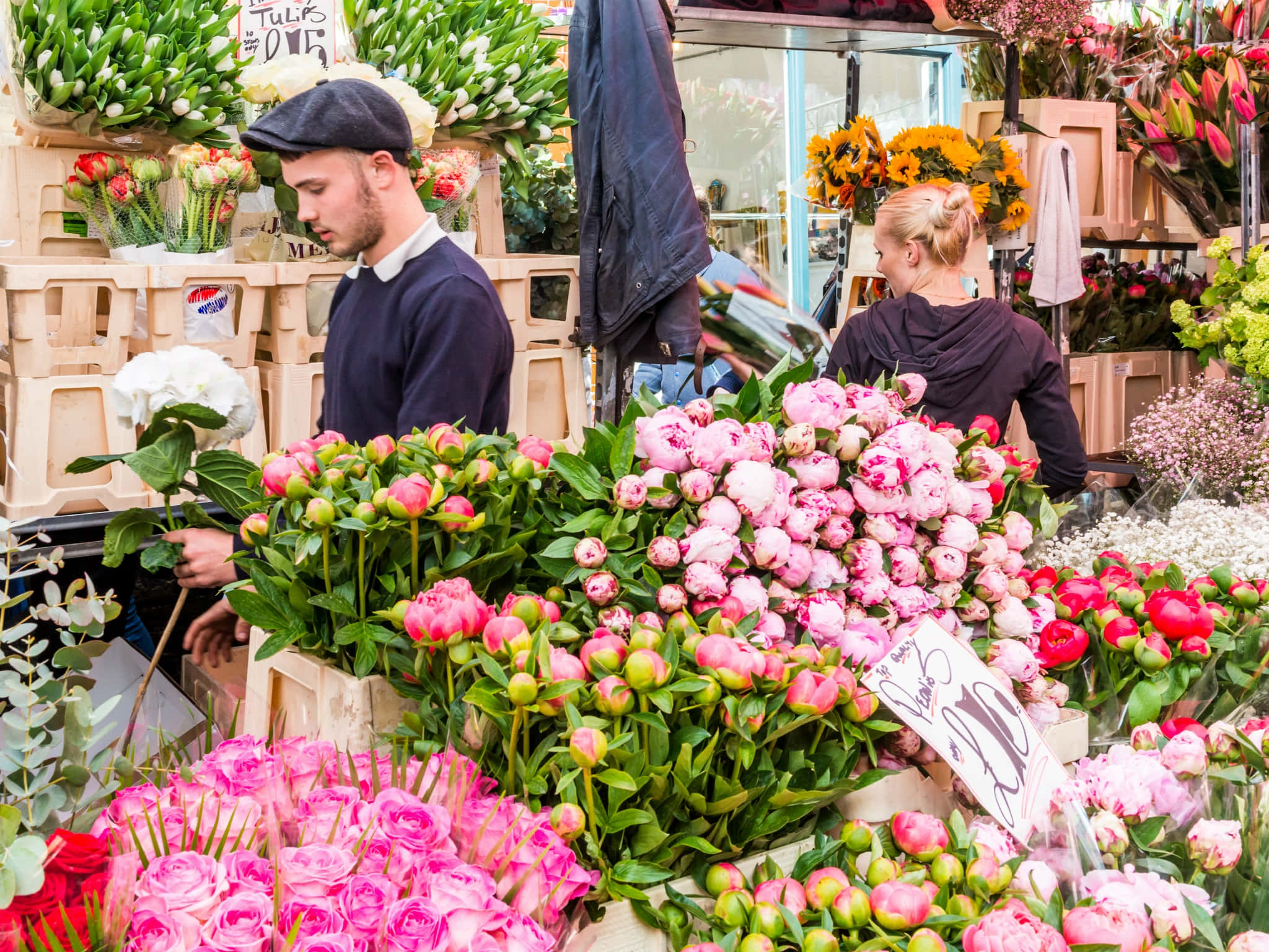 flower market, pink peonies, roses, Full HD Desktop Wallpaper