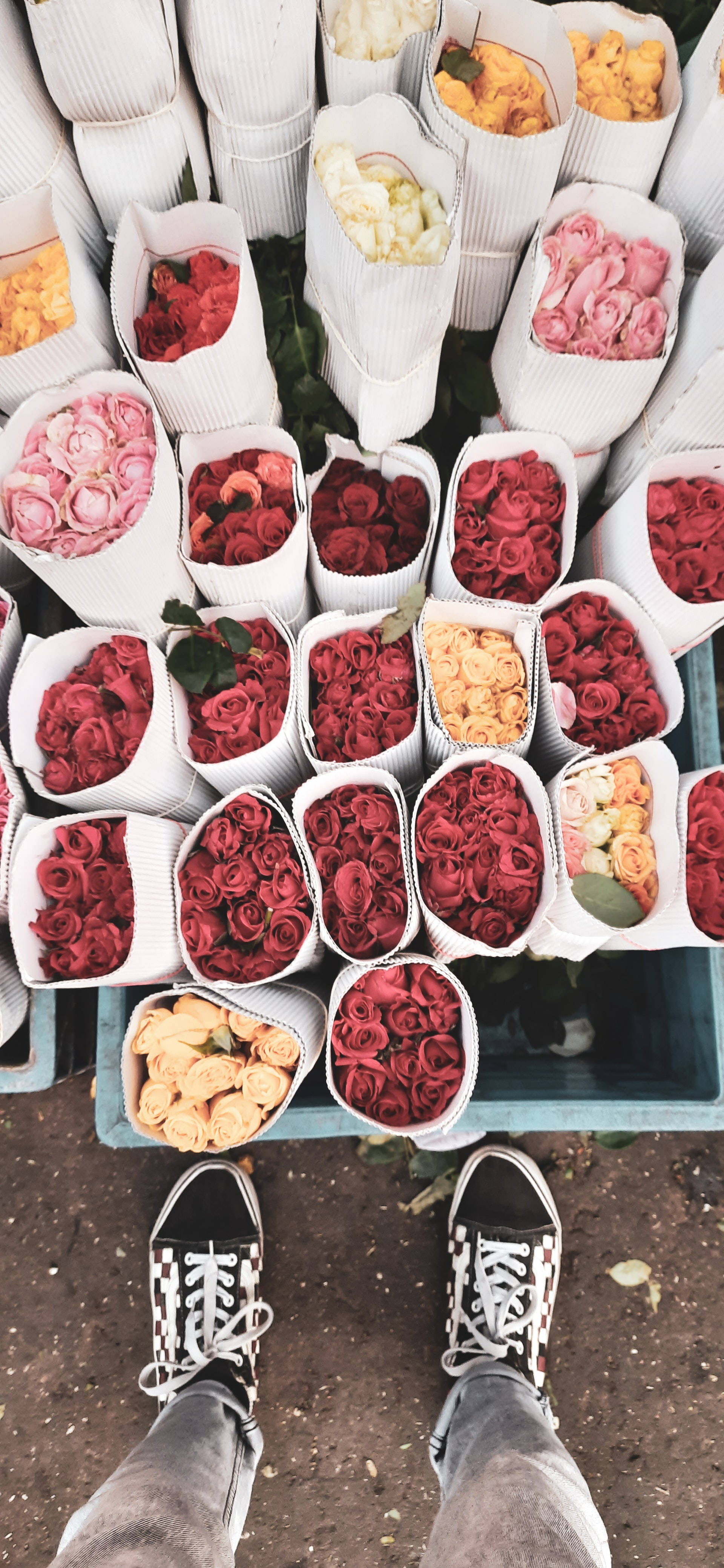 red roses, flower market, white paper wrapping, 4K Phone Wallpaper