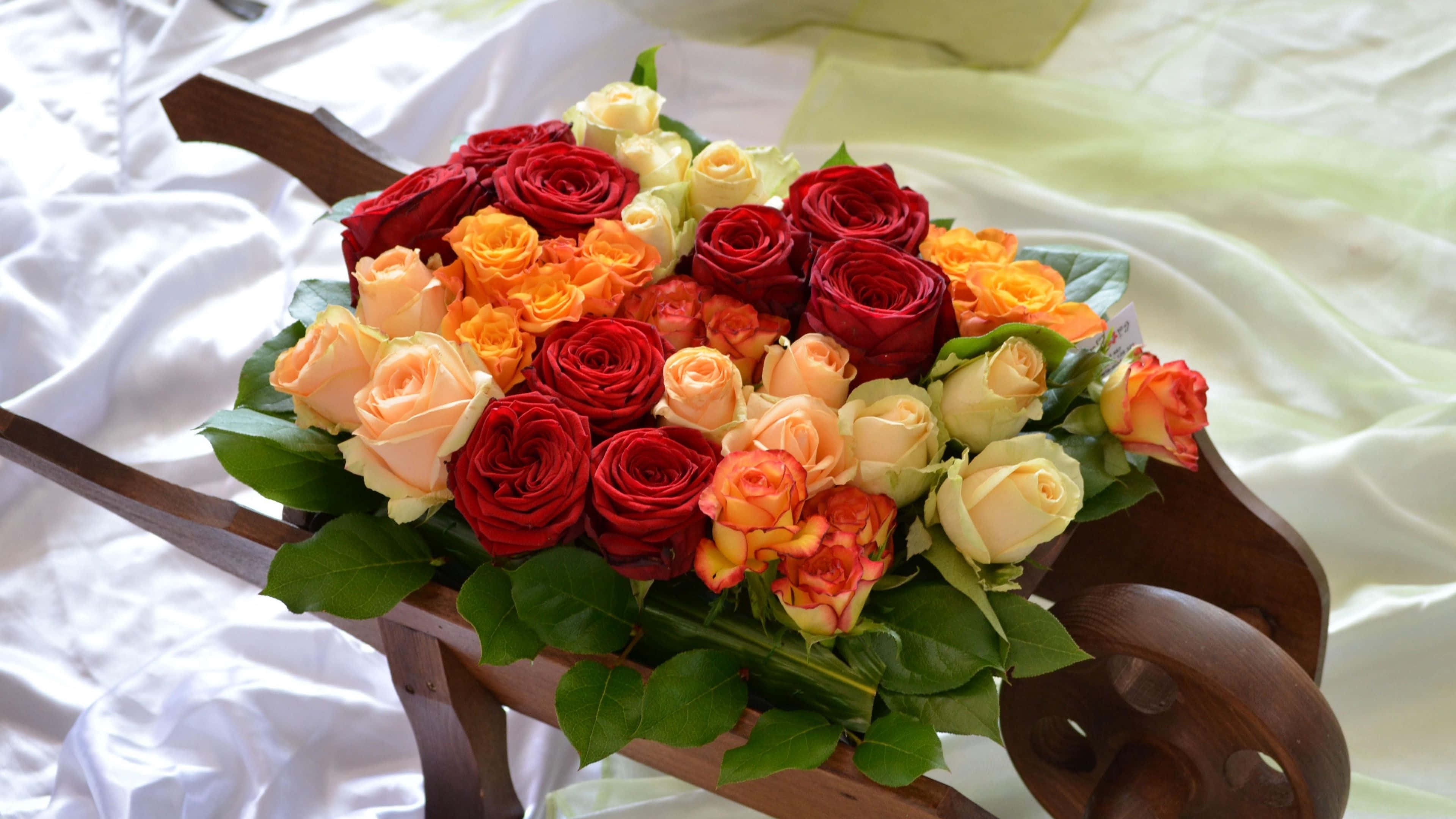 flower cart, red orange and cream roses, wooden wheelbarrow, 4K Desktop Wallpaper