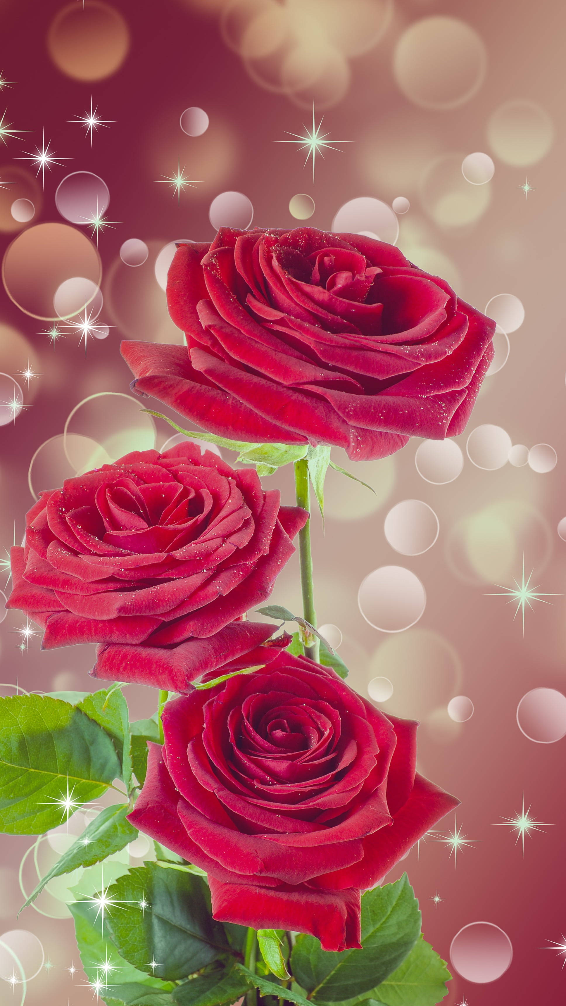 roses and sparkles flower mobile, vibrant red roses, dewdrops, 2K Phone Wallpaper