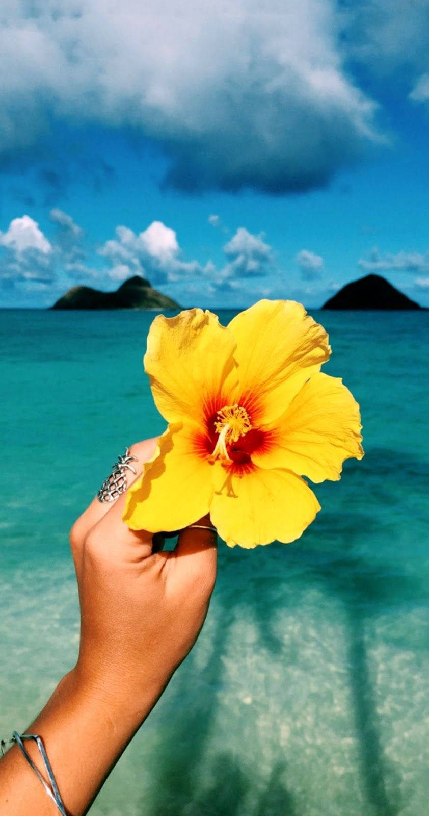 gumamela flower, turquoise ocean, volcanic islands, HD Phone Wallpaper