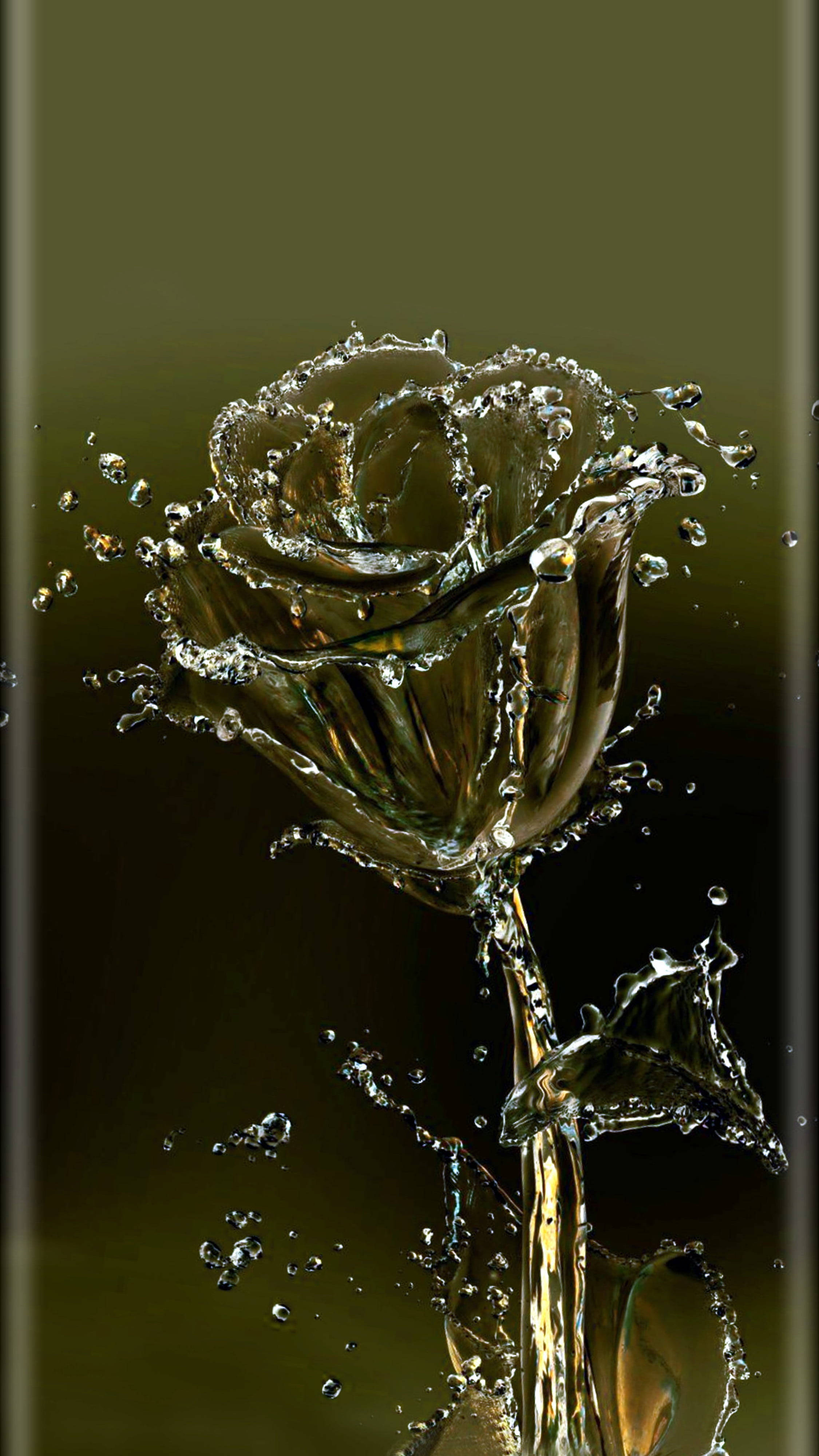 rose water flower mobile, rose, water droplets, 4K Phone Wallpaper