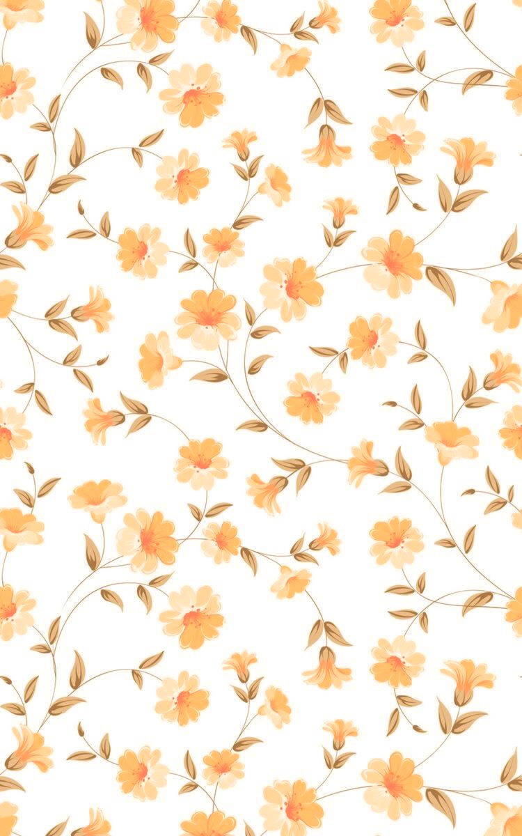 orange floral, white and orange floral watercolor art, delicate orange flowers, SD Phone Wallpaper