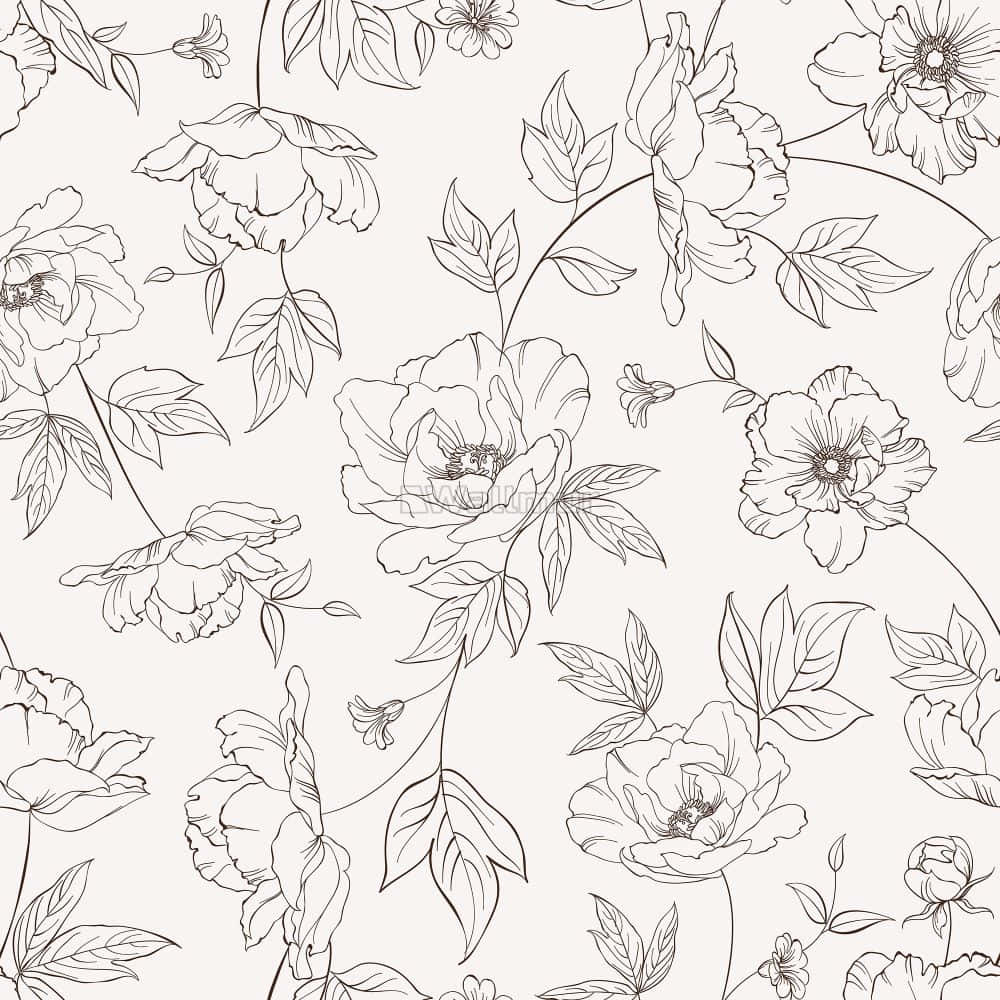 black line art, blooming peonies, leaves, SD Desktop Wallpaper
