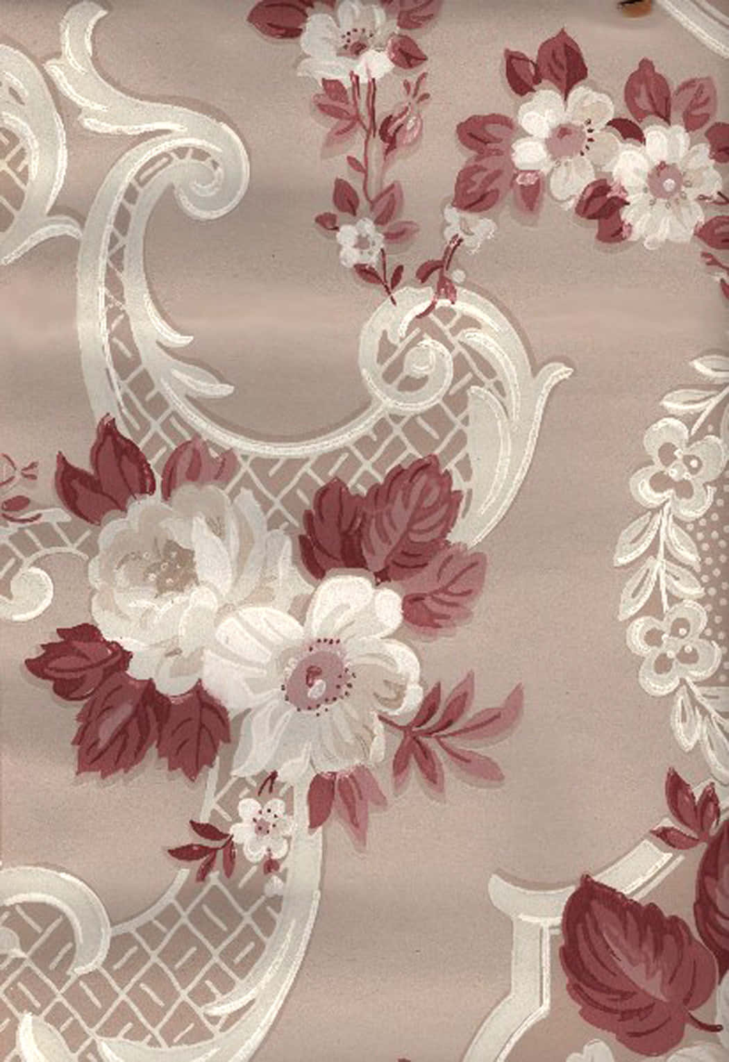 elegant floral pattern texture, white floral motifs, burgundy leaves, HD Phone Wallpaper