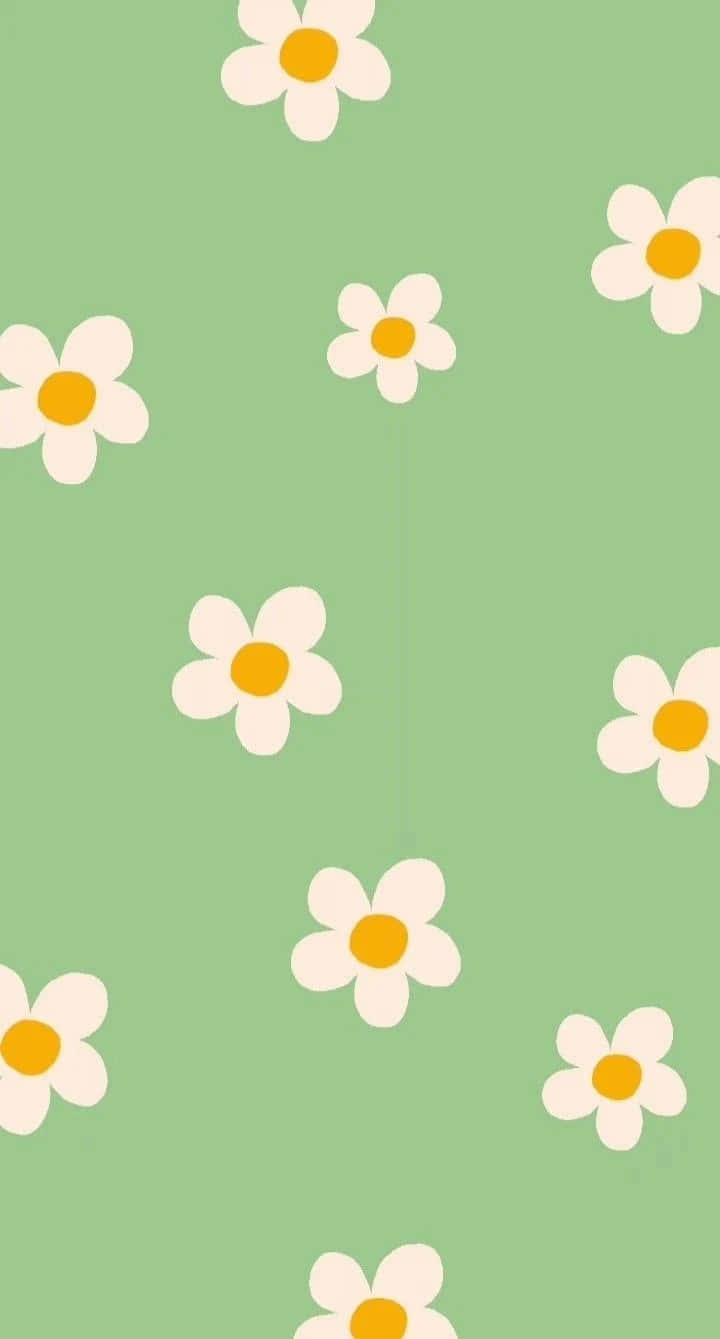 green preppy daisy pattern, white daisies, yellow centers, HD Phone Wallpaper