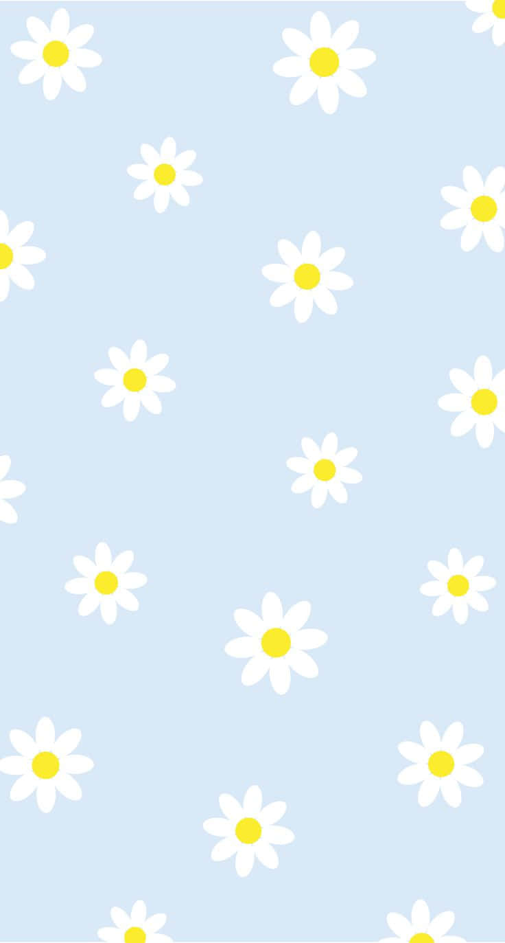 preppy daisy pattern, white daisies, yellow centers, HD Phone Wallpaper