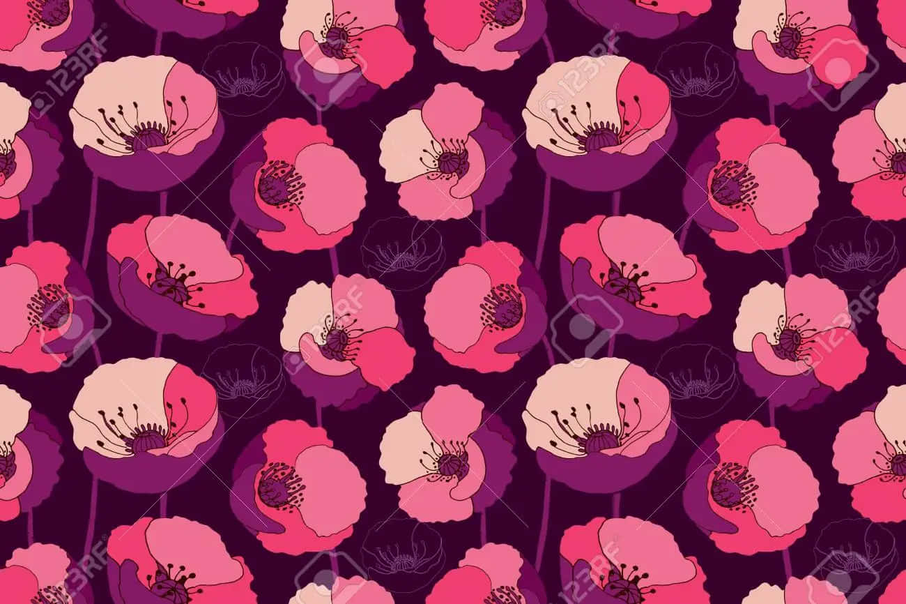 burgundy flower, pink and white flowers, deep magenta background, HD Desktop Wallpaper