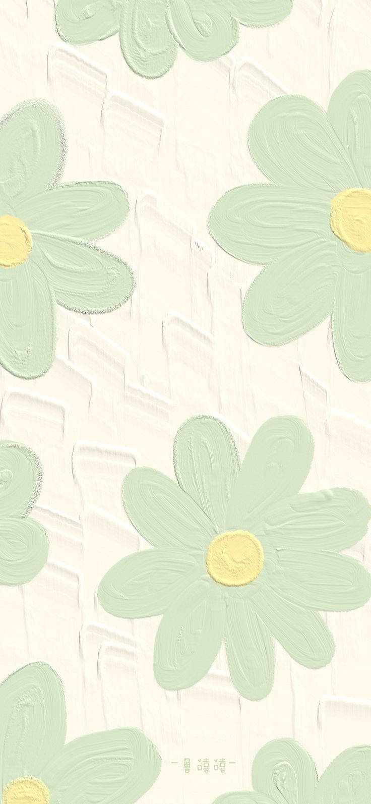 mint green, daisies, yellow centers, HD Phone Wallpaper