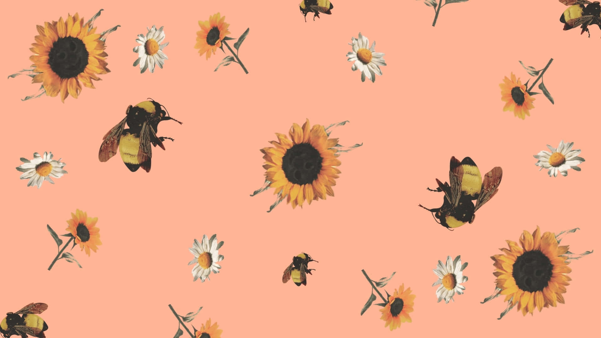 flower boy pattern, sunflowers, daisies, Full HD Desktop Wallpaper