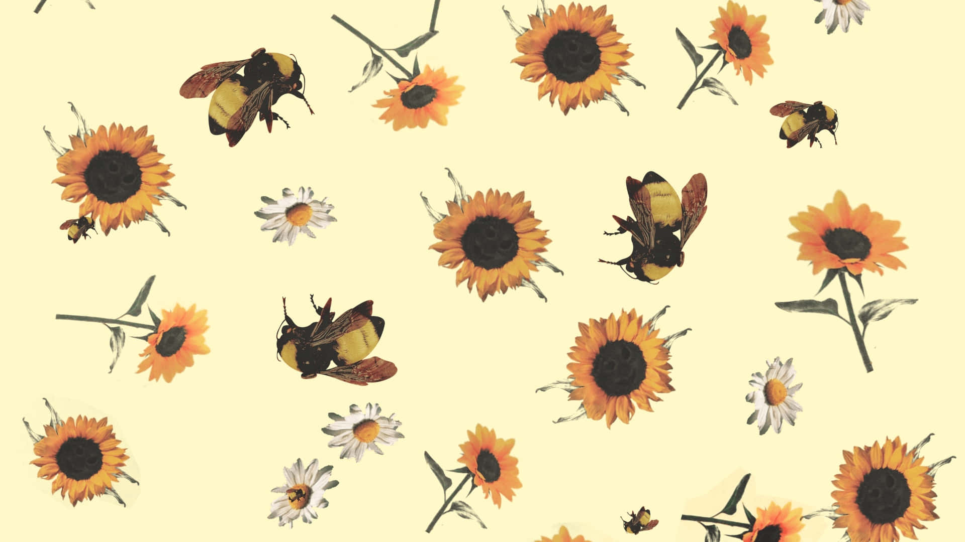 Flower Boy Pattern, sunflowers, daisies, Full HD Desktop Wallpaper