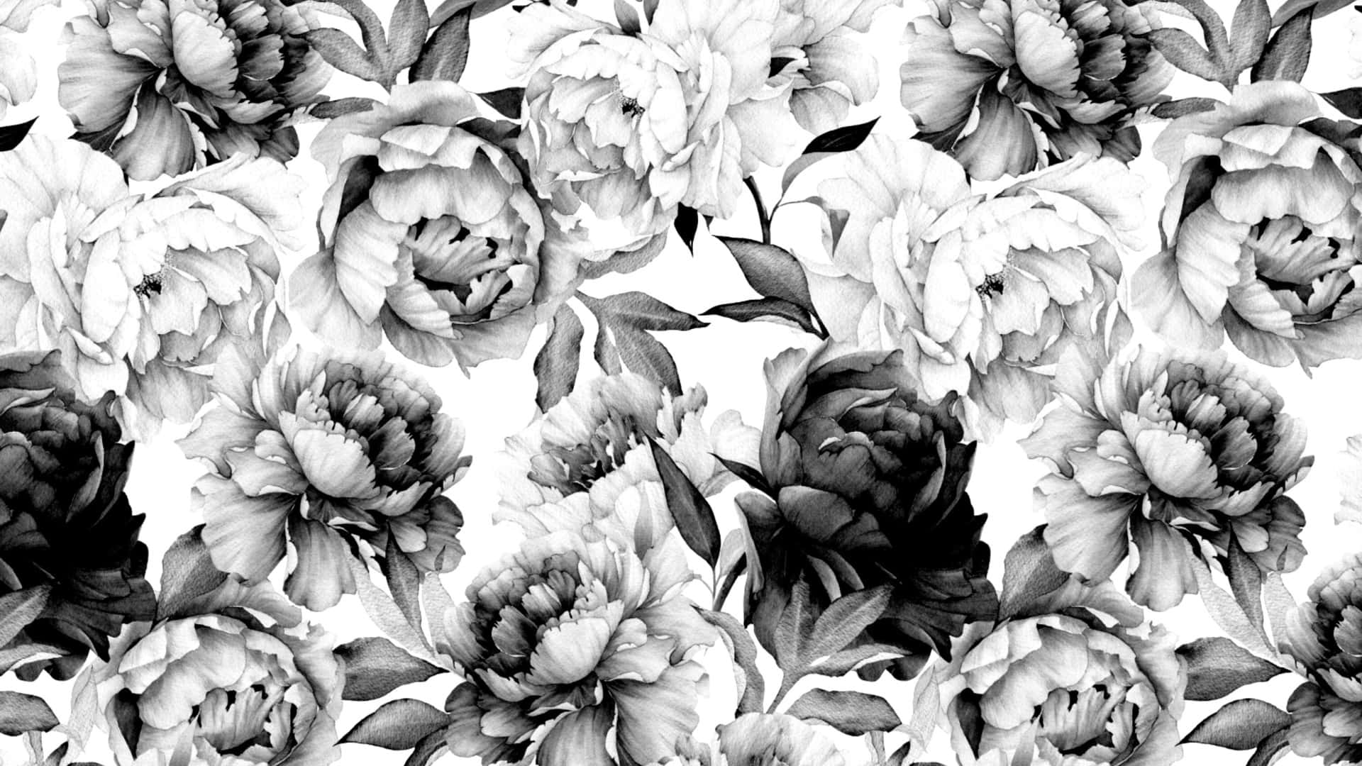 black and white floral pattern, monochrome wallpaper, peony, Full HD Desktop Wallpaper