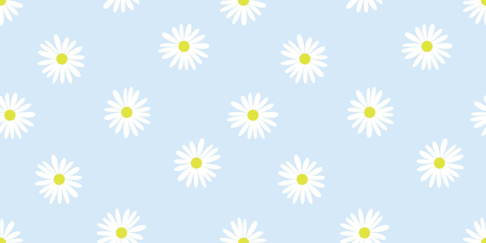 blue daisy pattern, white daisies, yellow centers, Full HD Desktop Wallpaper