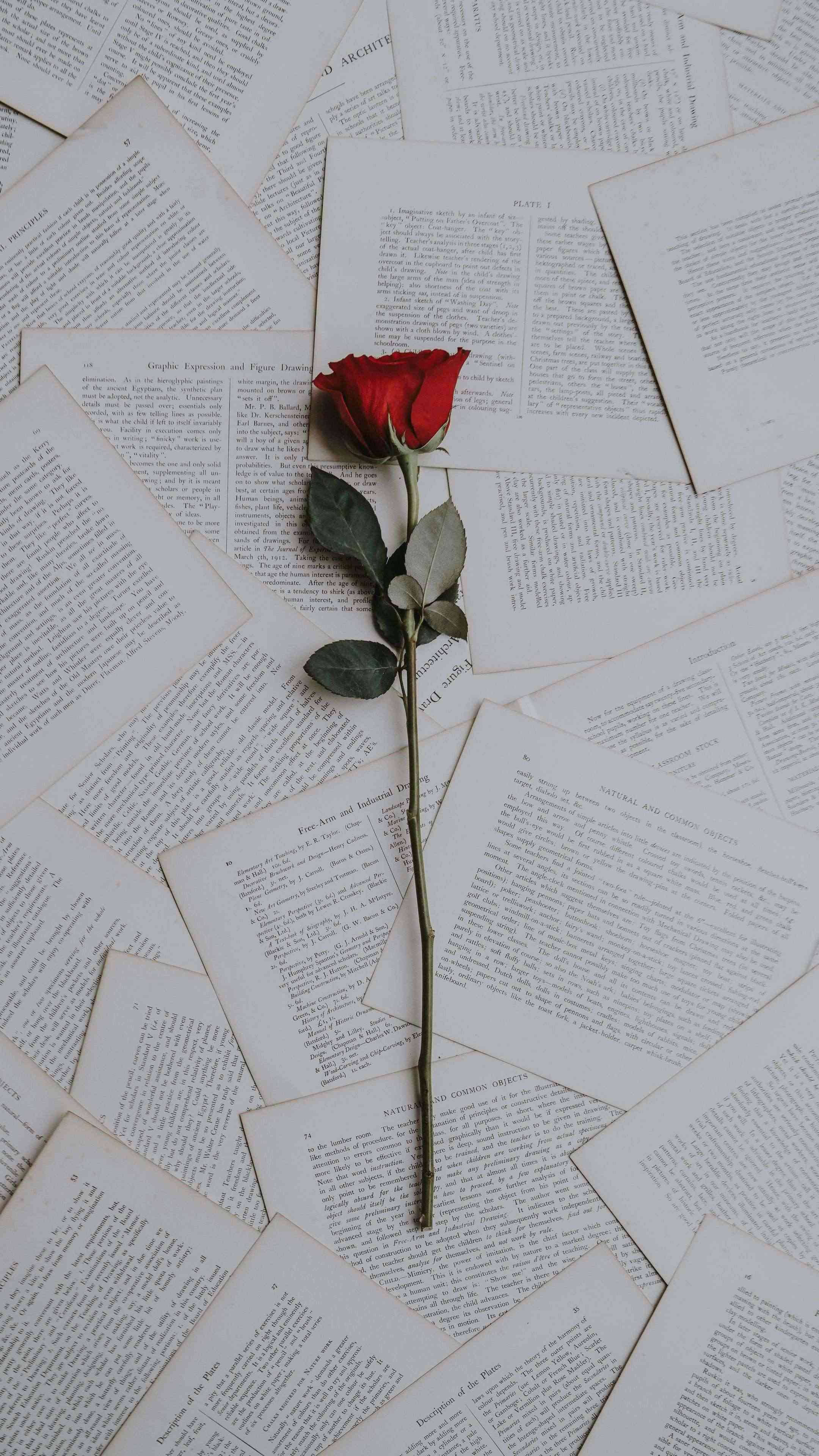 rose, vintage book pages, vibrant red, 4K Phone Wallpaper
