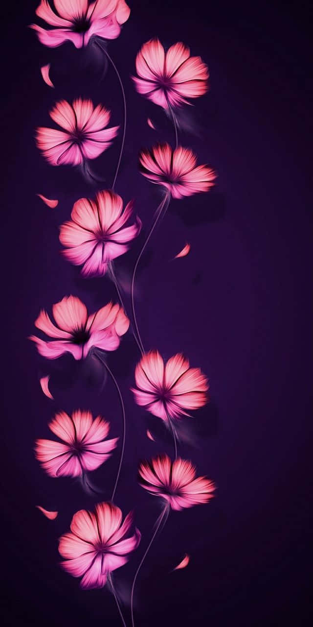 pink cosmos flowers, deep purple night sky, floating petals, HD Phone Wallpaper