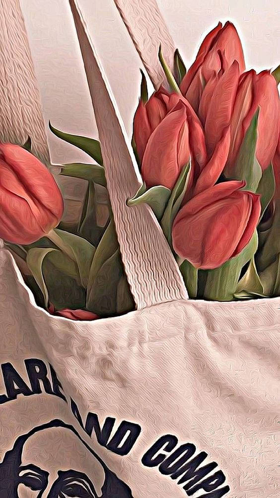 vibrant red tulips, beige tote bag, bold black text, SD Phone Wallpaper