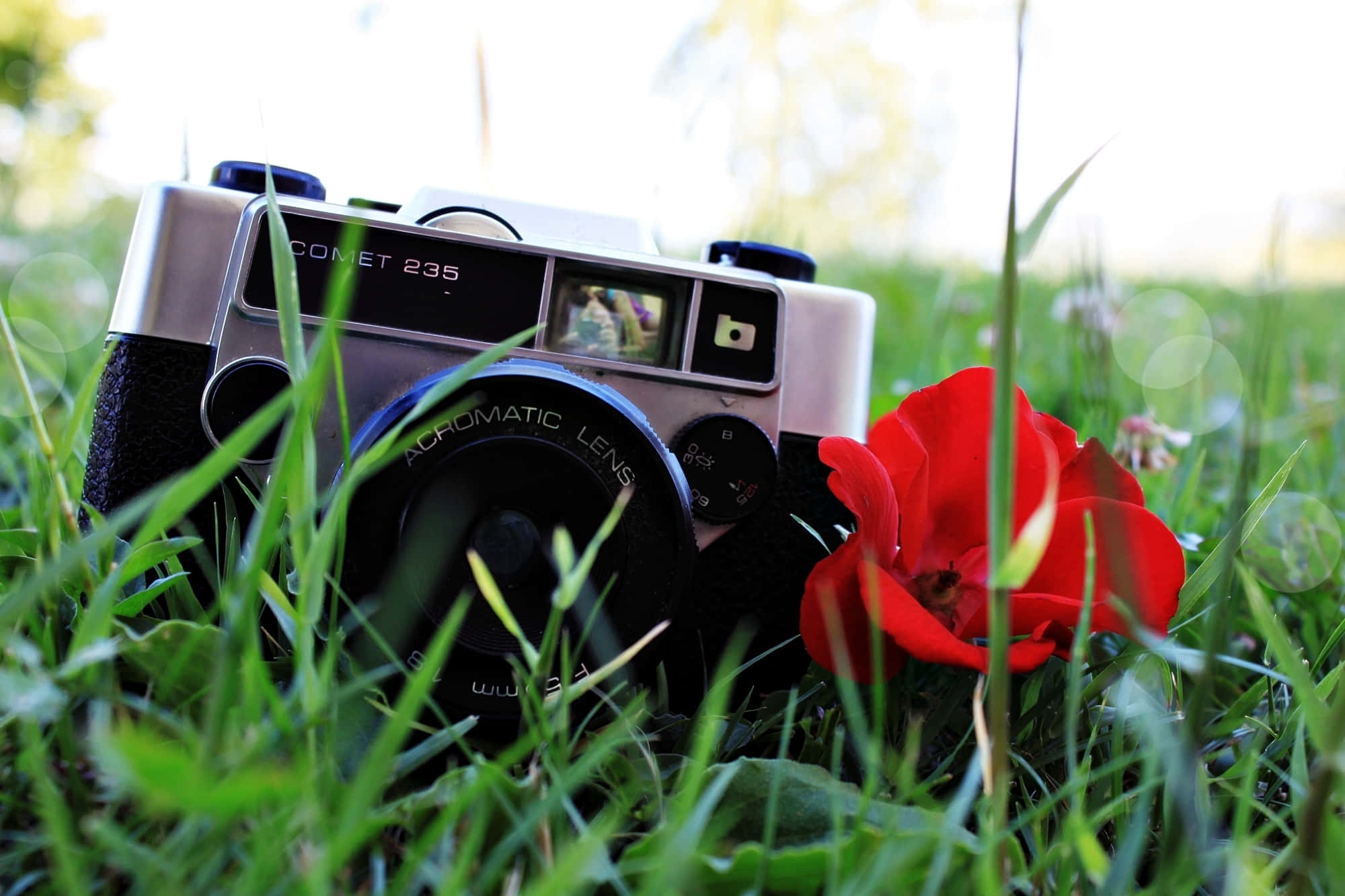 vintage silver camera, vivid red poppy, sunlit green grass, Full HD Desktop Wallpaper