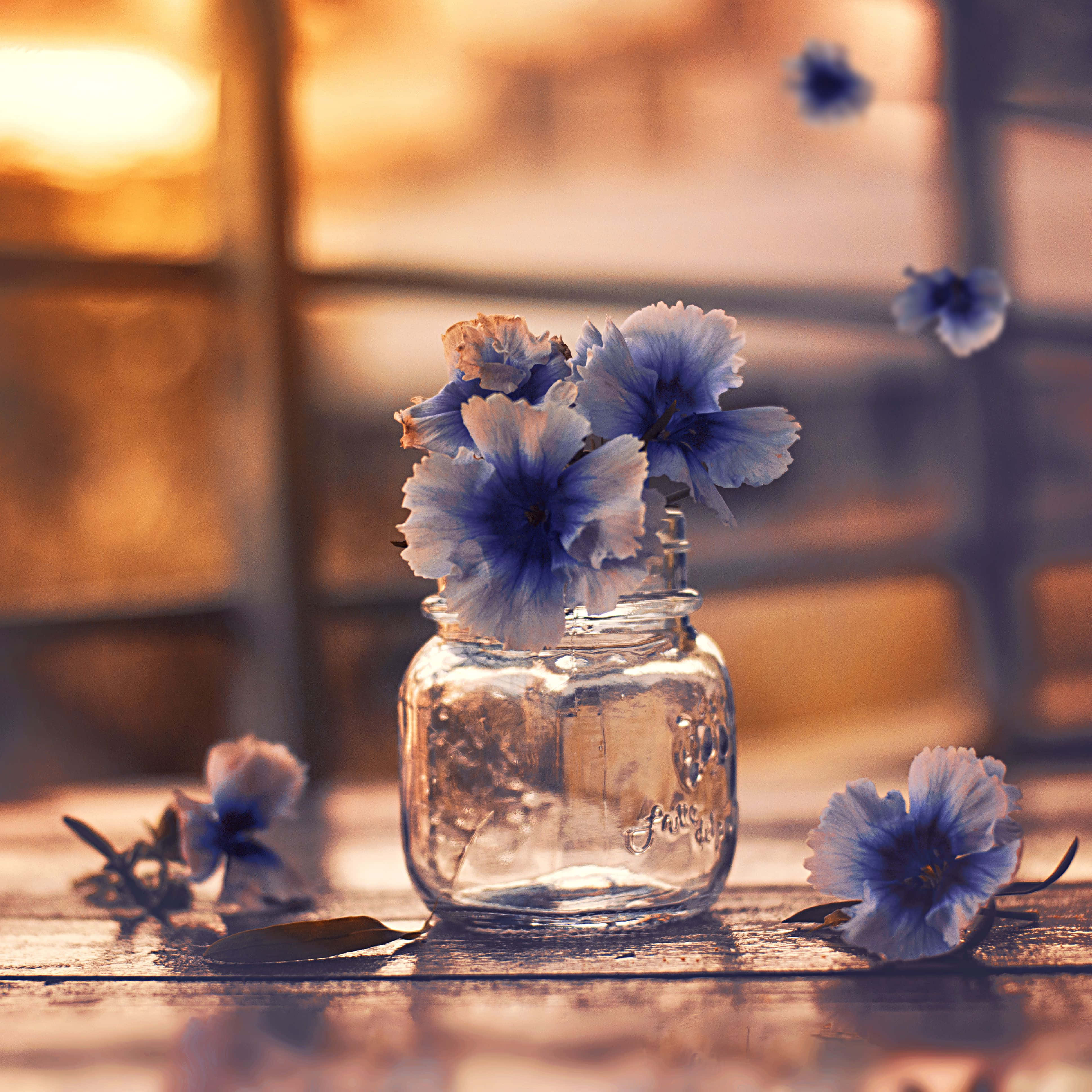 blue flowers, glass jar, wooden table, 4K Desktop Wallpaper